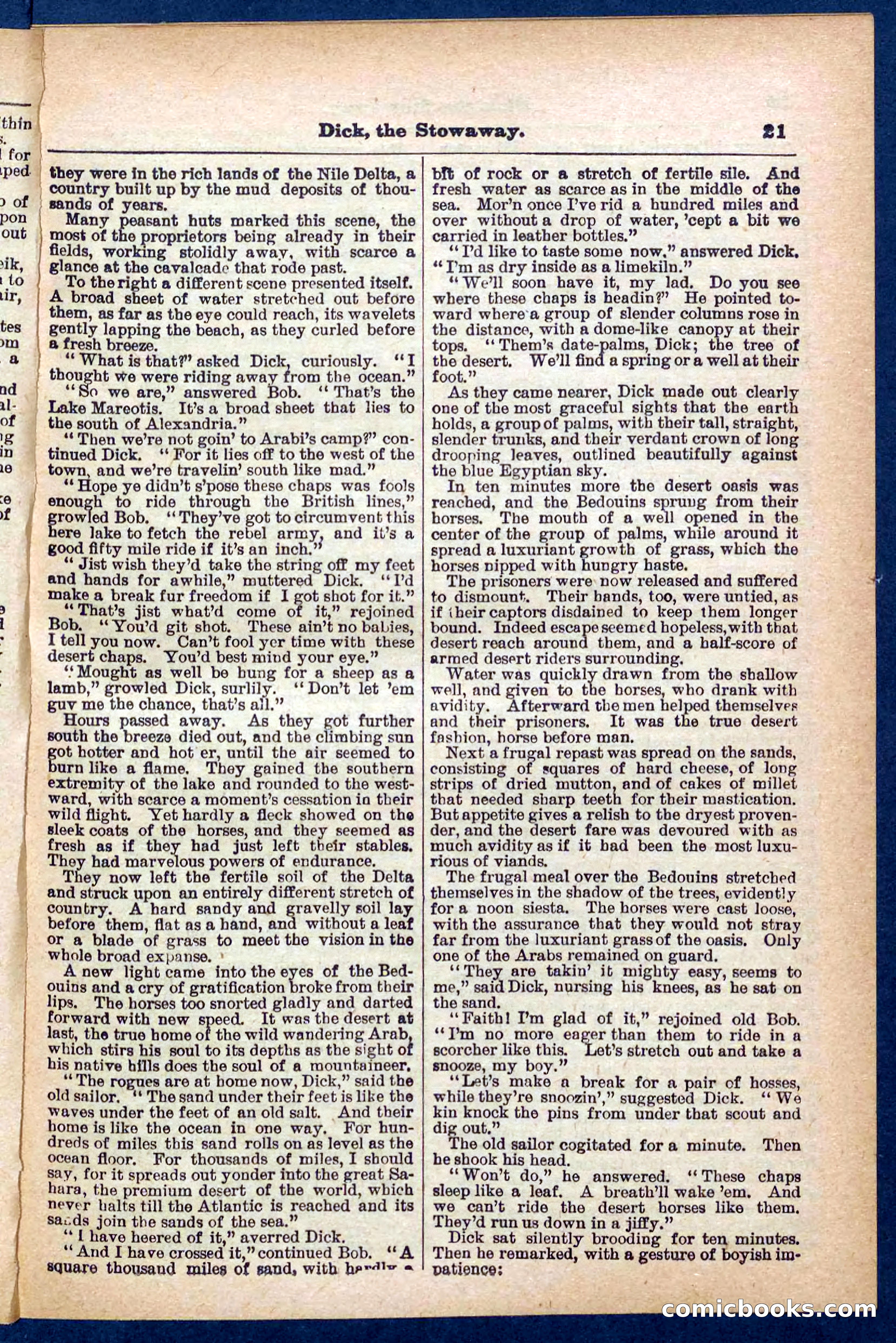 Beadle's Pocket Library No. 379: Dick, the Stowaway — page 21 of 32