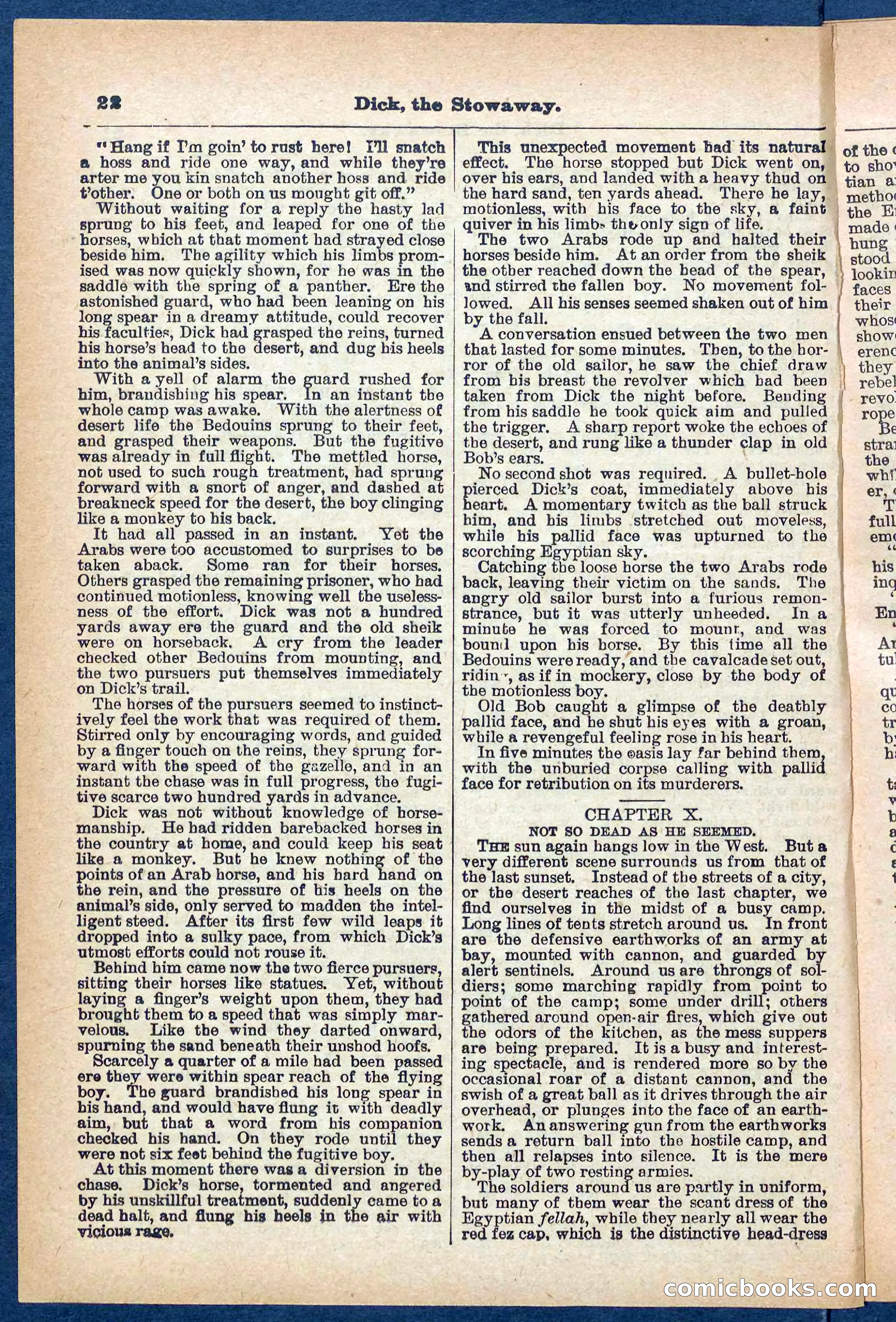 Beadle's Pocket Library No. 379: Dick, the Stowaway — page 22 of 32