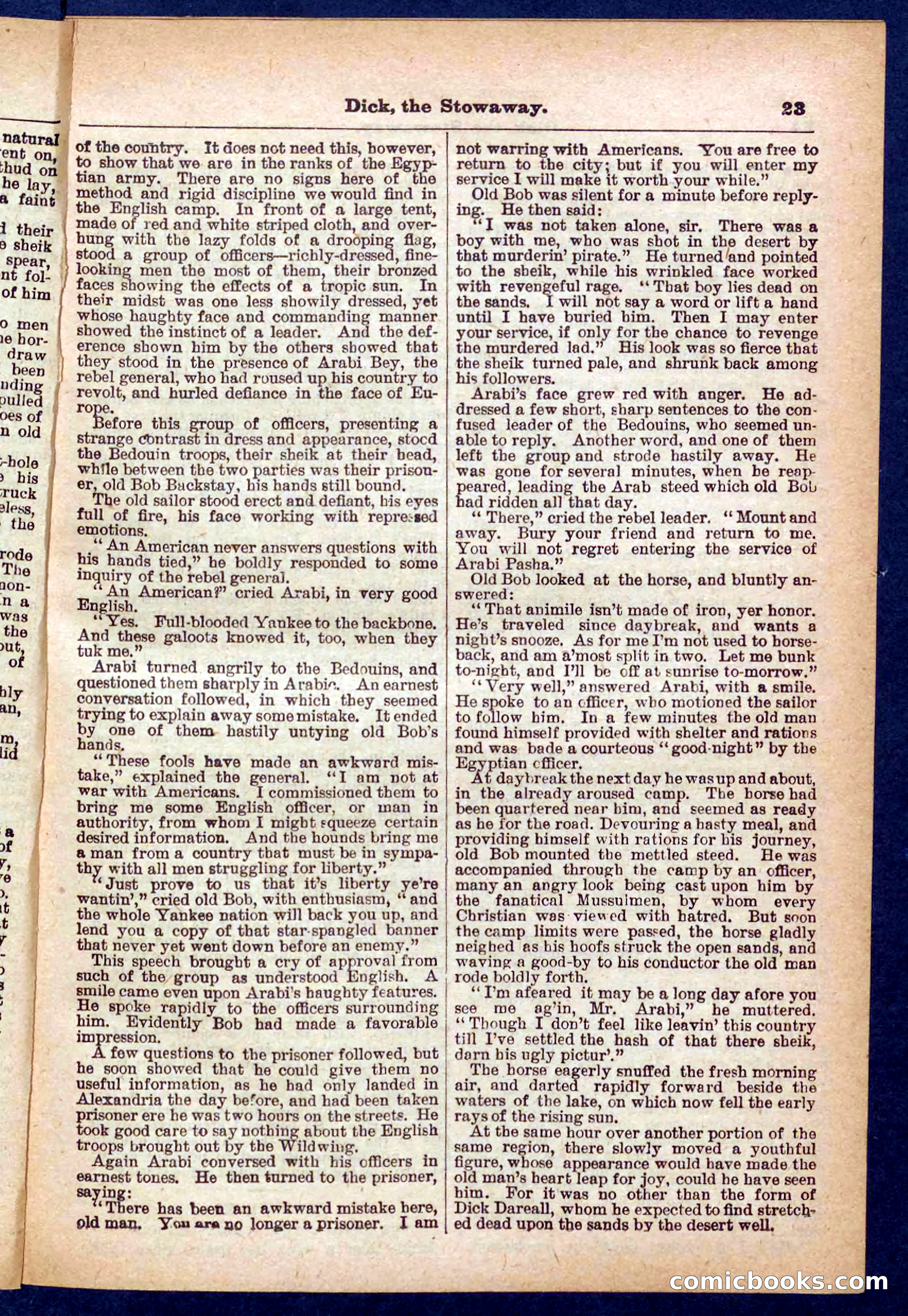 Beadle's Pocket Library No. 379: Dick, the Stowaway — page 23 of 32