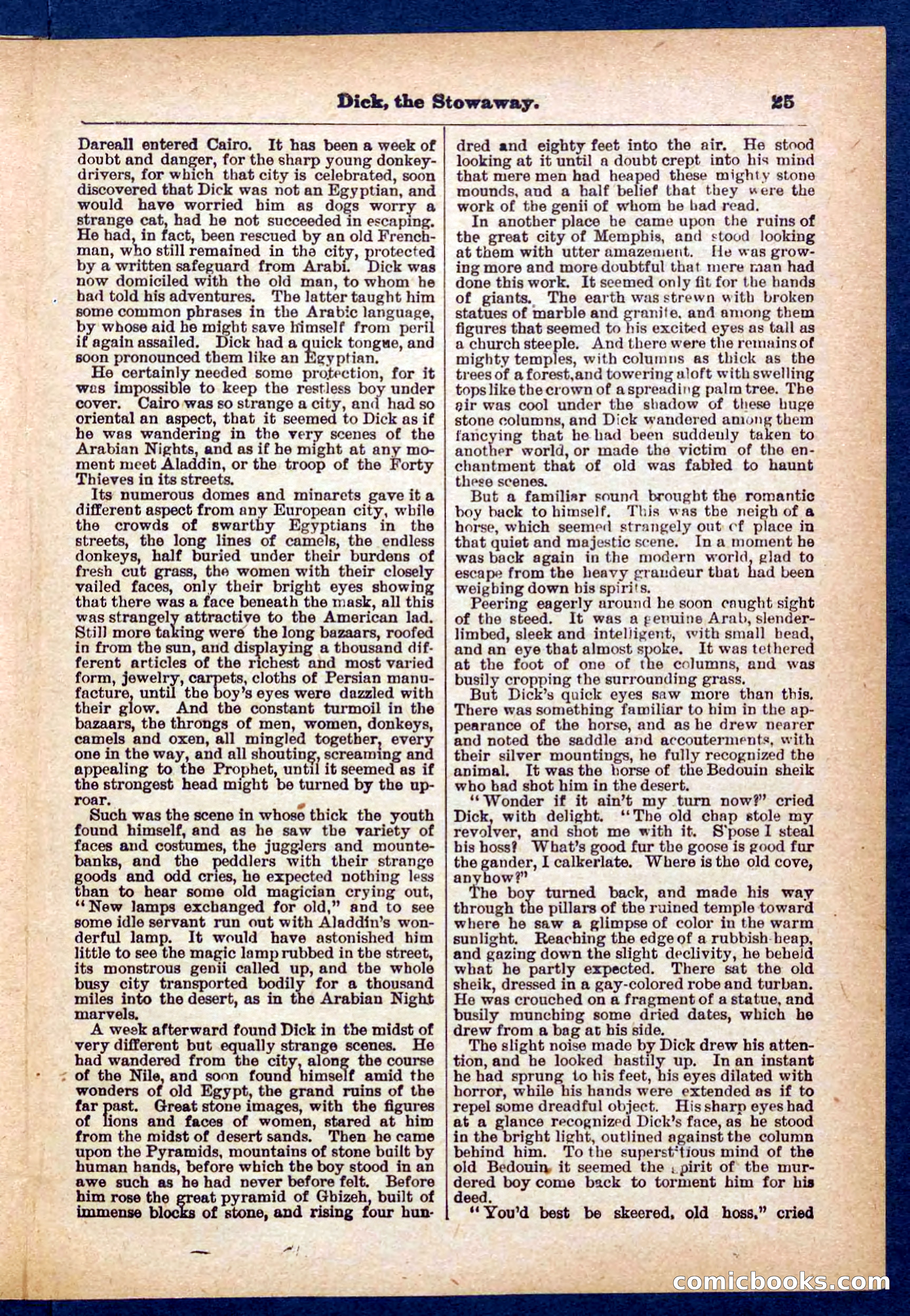 Beadle's Pocket Library No. 379: Dick, the Stowaway — page 25 of 32