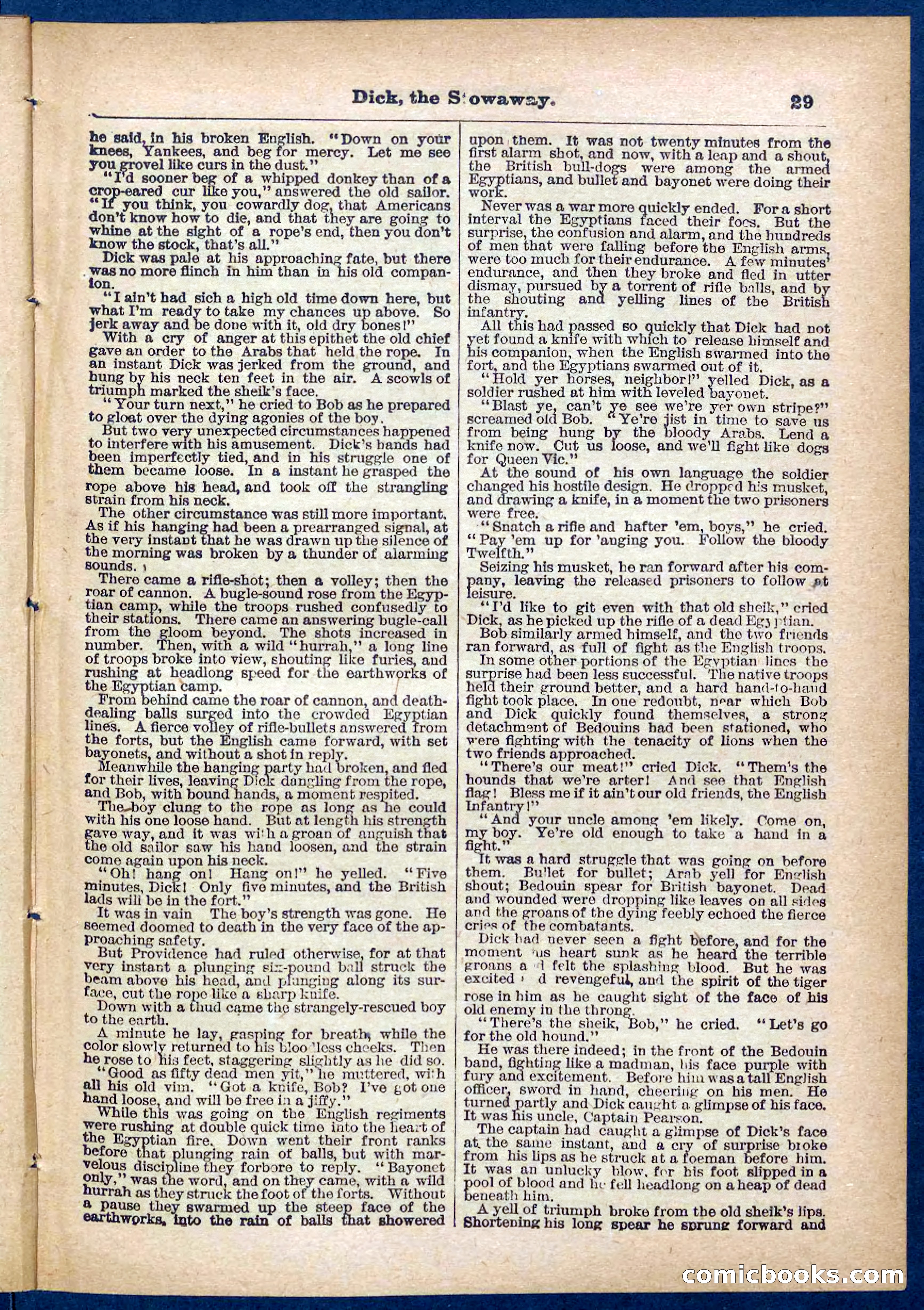 Beadle's Pocket Library No. 379: Dick, the Stowaway — page 29 of 32