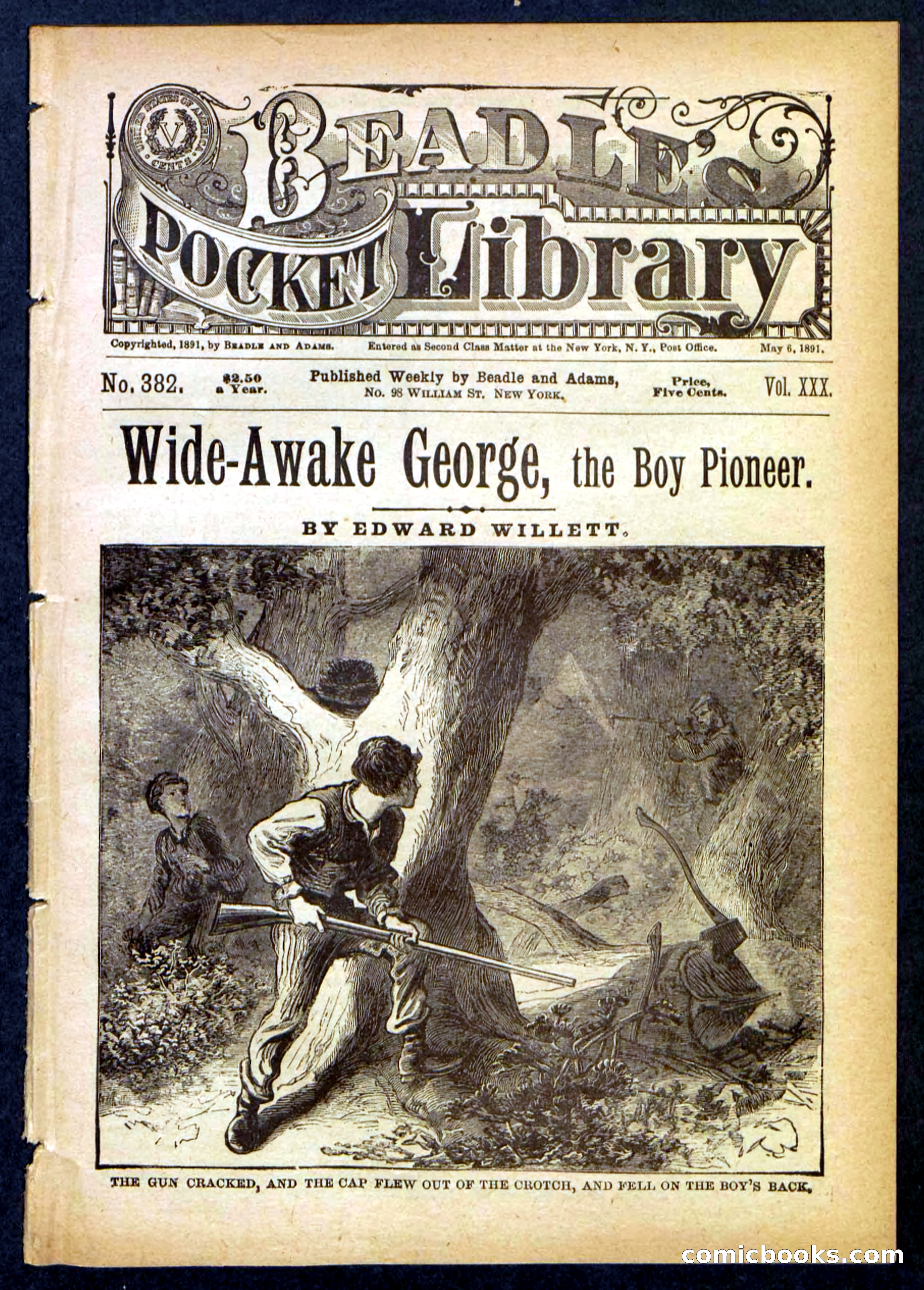 Beadle's Pocket Library No. 382 — page 1 of 32