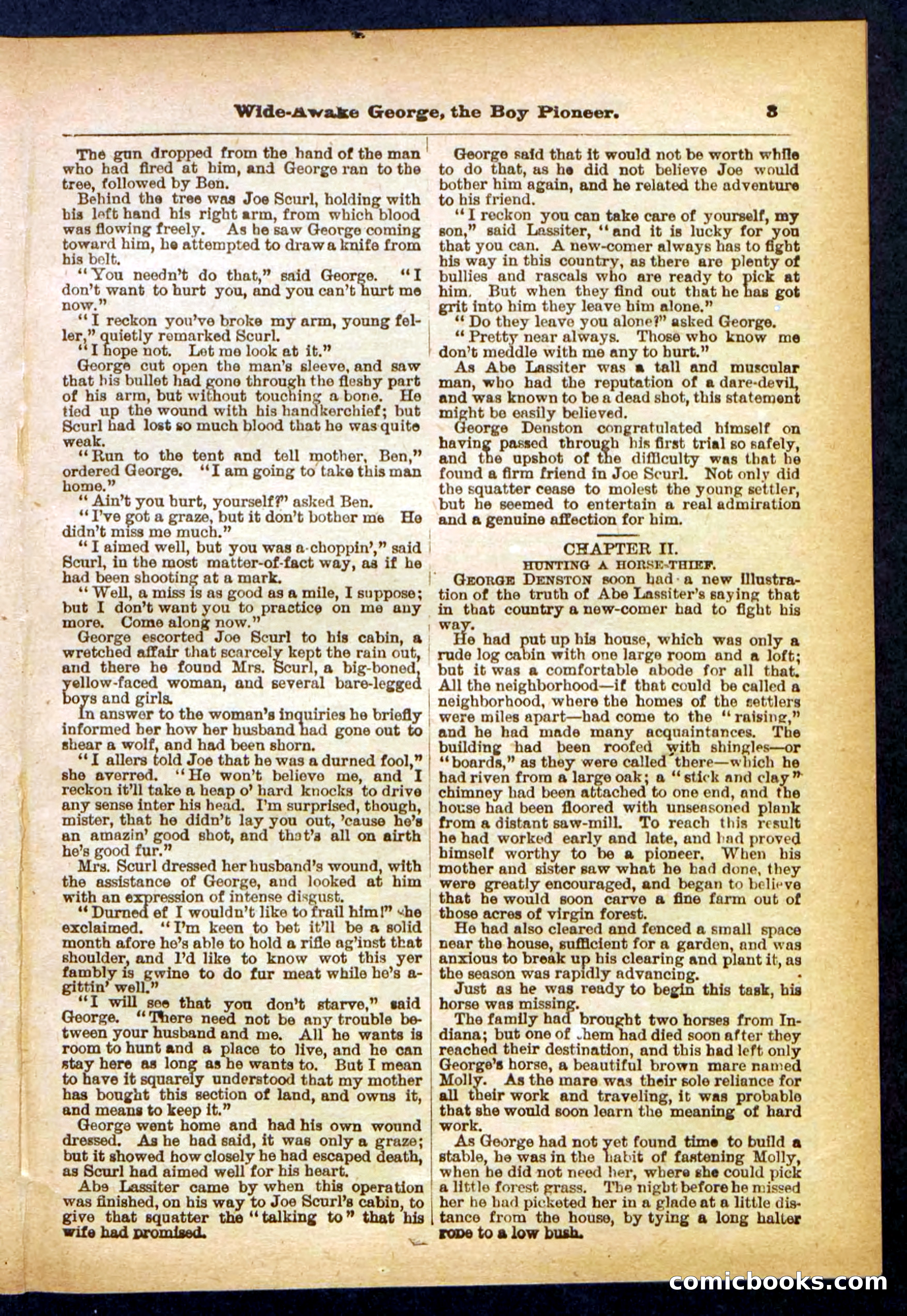 Beadle's Pocket Library No. 382 — page 3 of 32