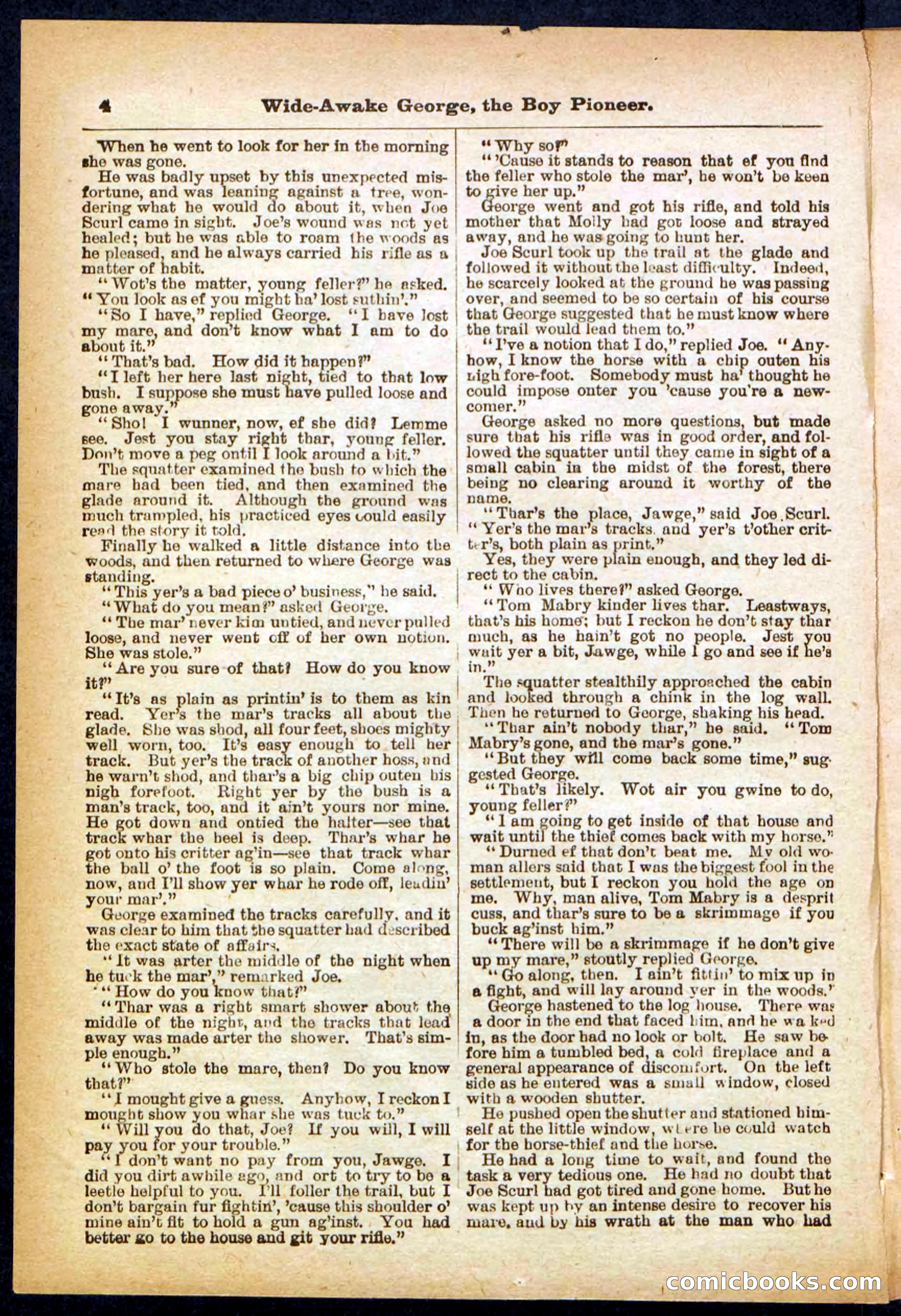 Beadle's Pocket Library No. 382 — page 4 of 32