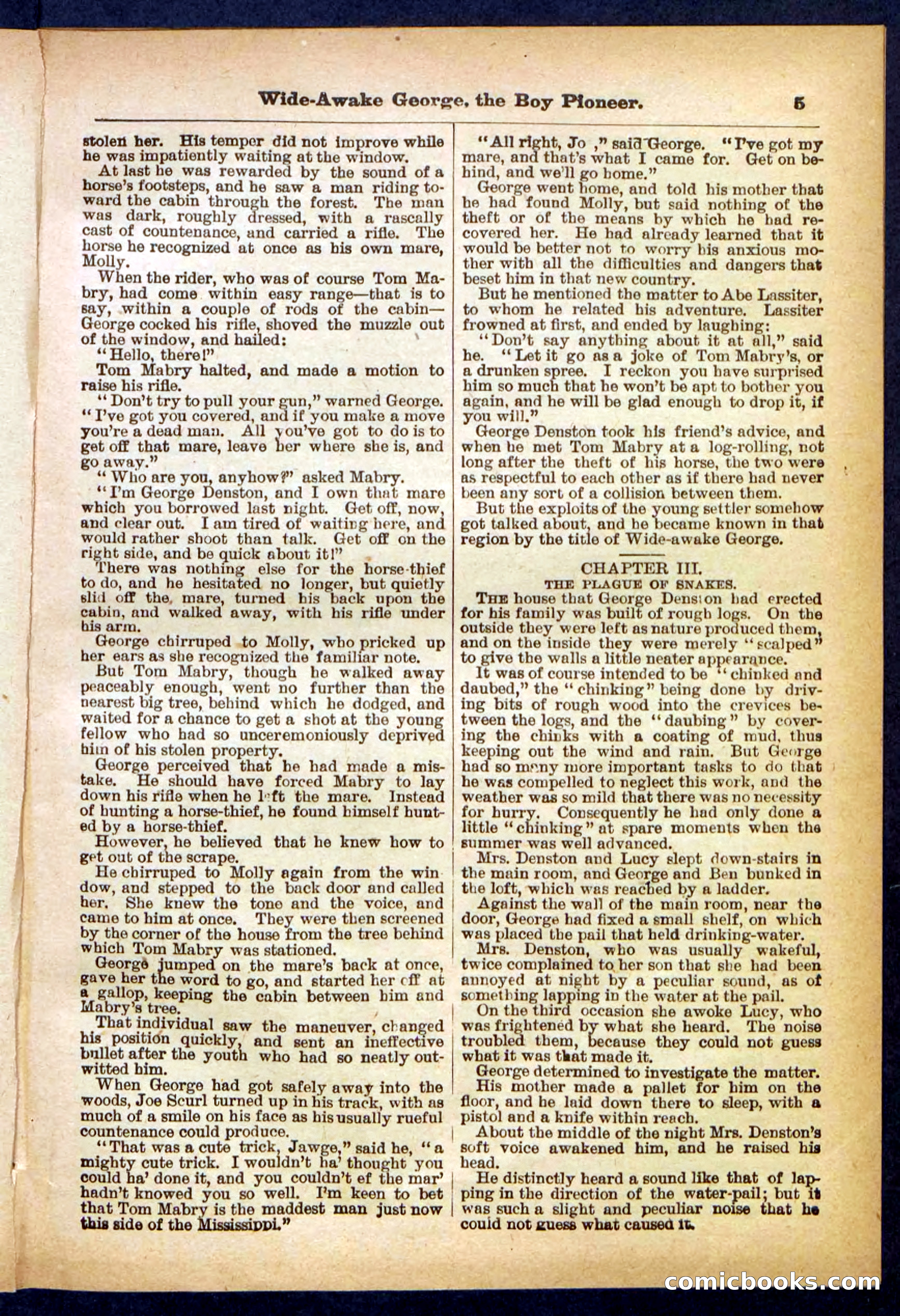 Beadle's Pocket Library No. 382 — page 5 of 32