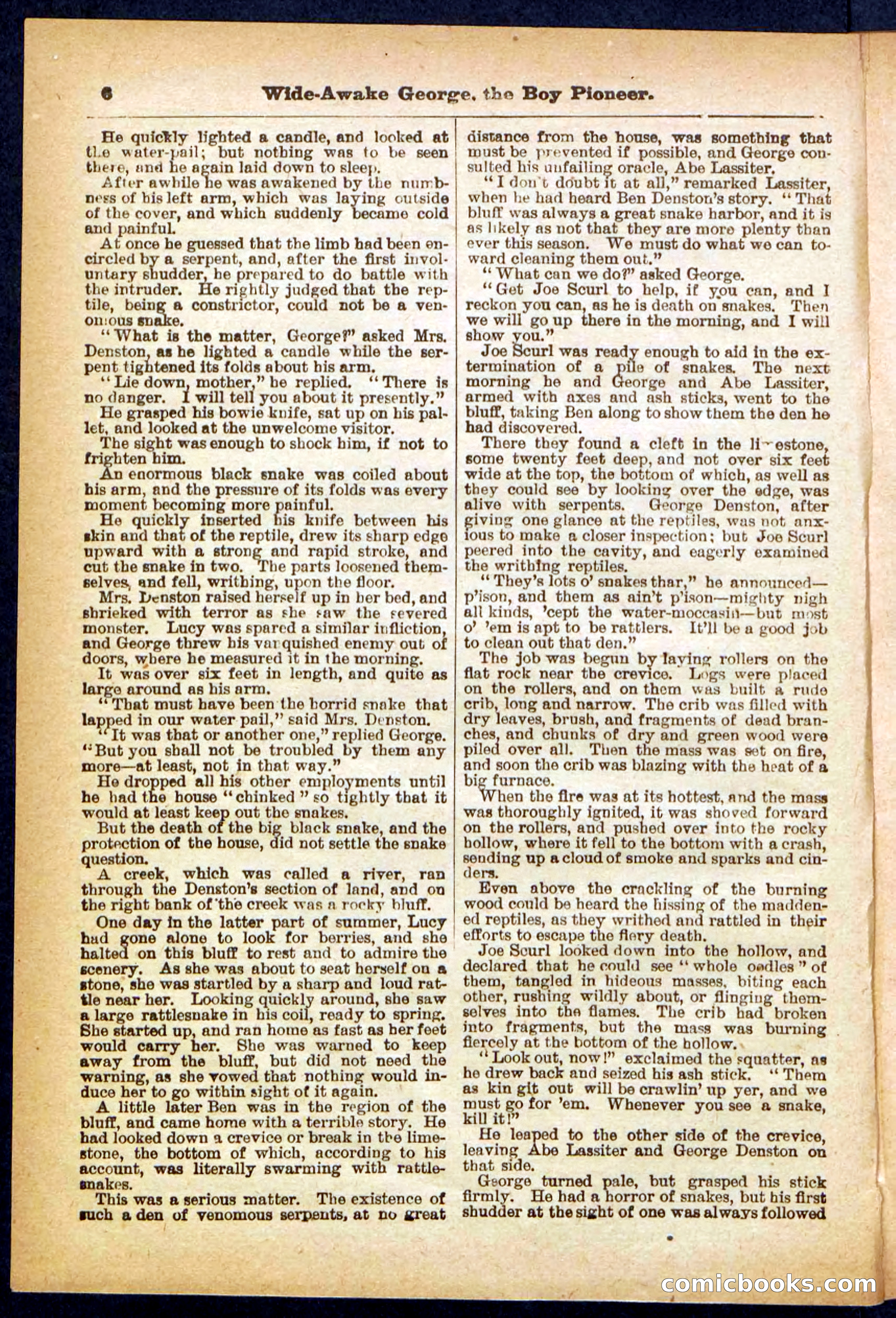 Beadle's Pocket Library No. 382 — page 6 of 32