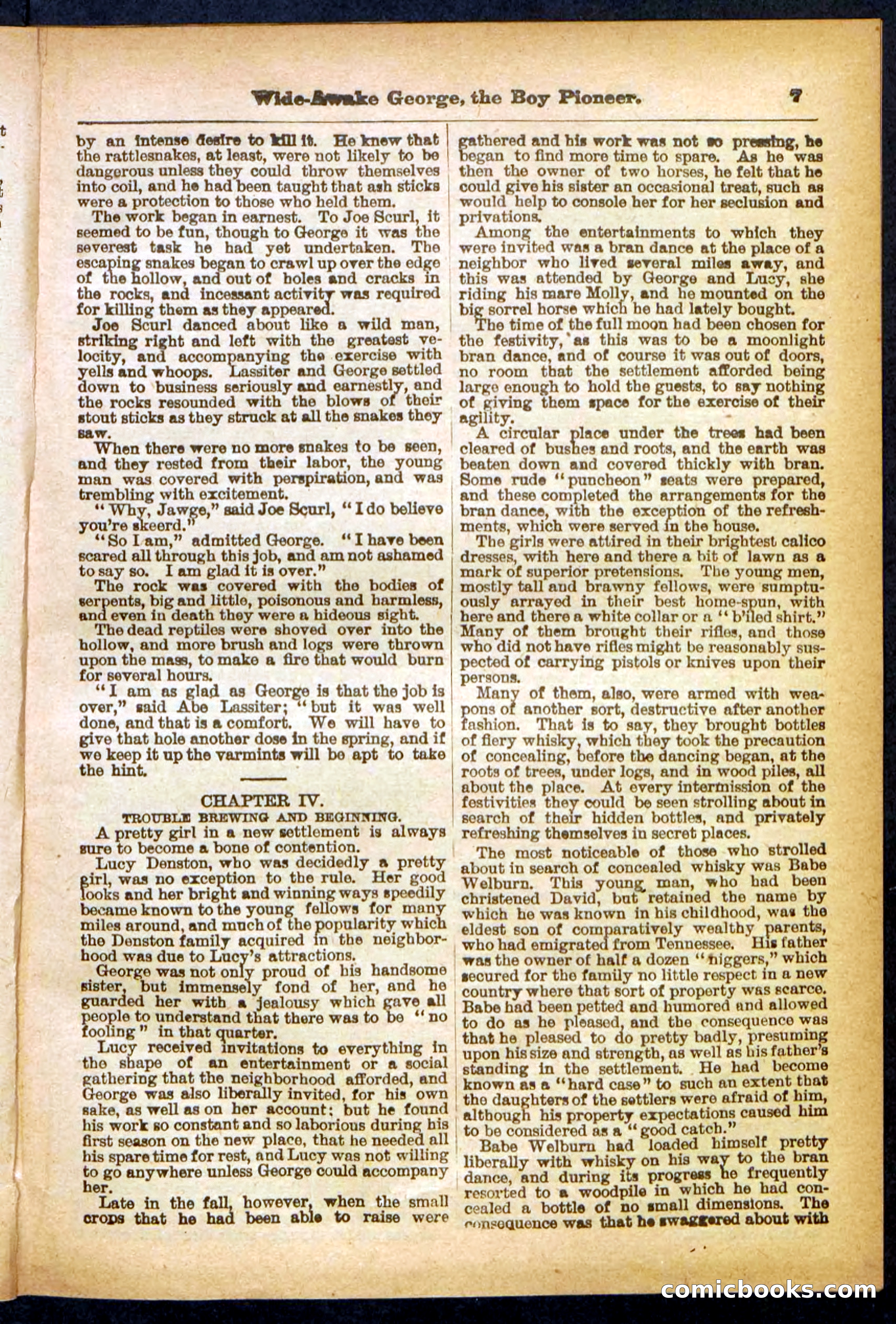 Beadle's Pocket Library No. 382 — page 7 of 32