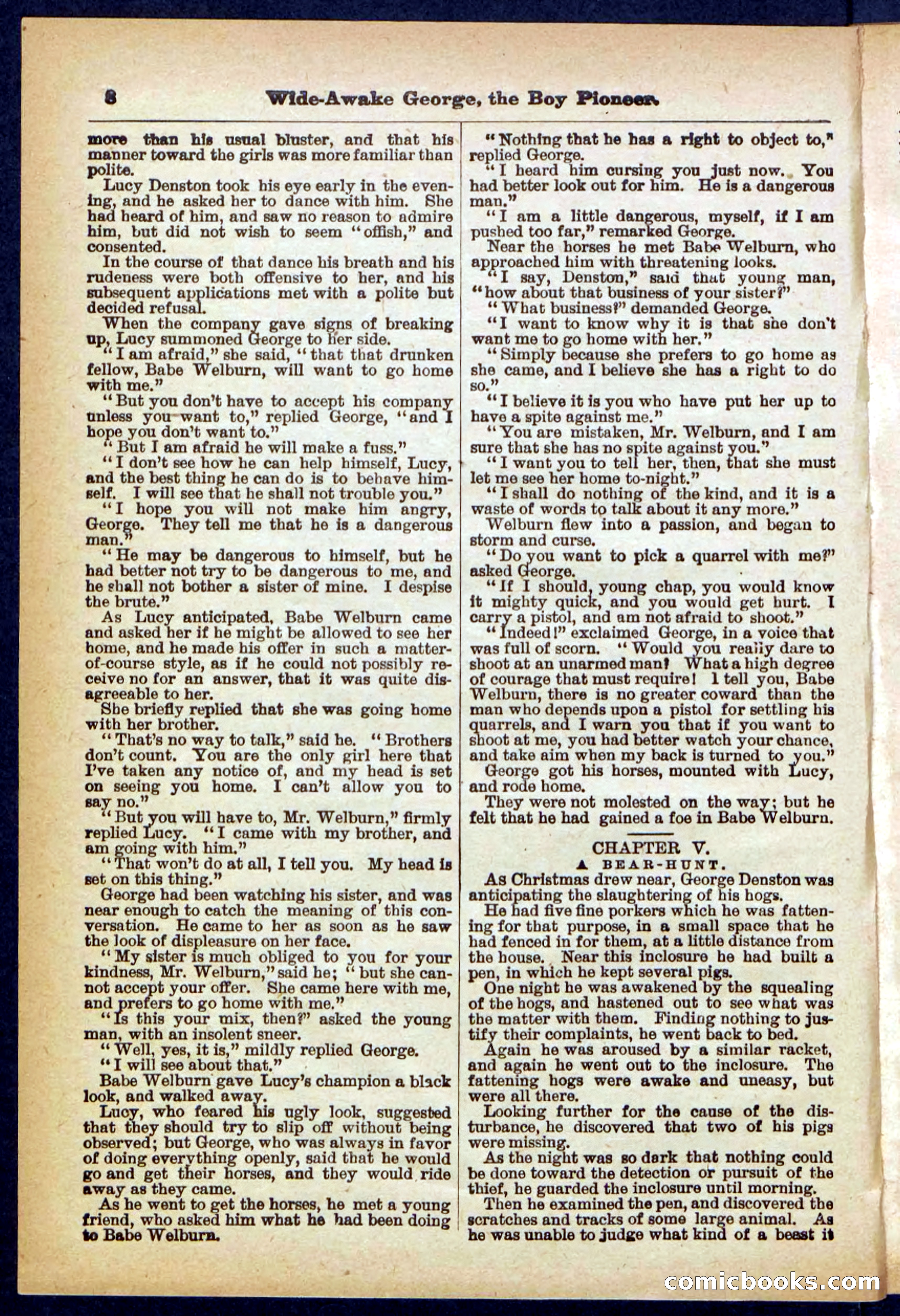 Beadle's Pocket Library No. 382 — page 8 of 32