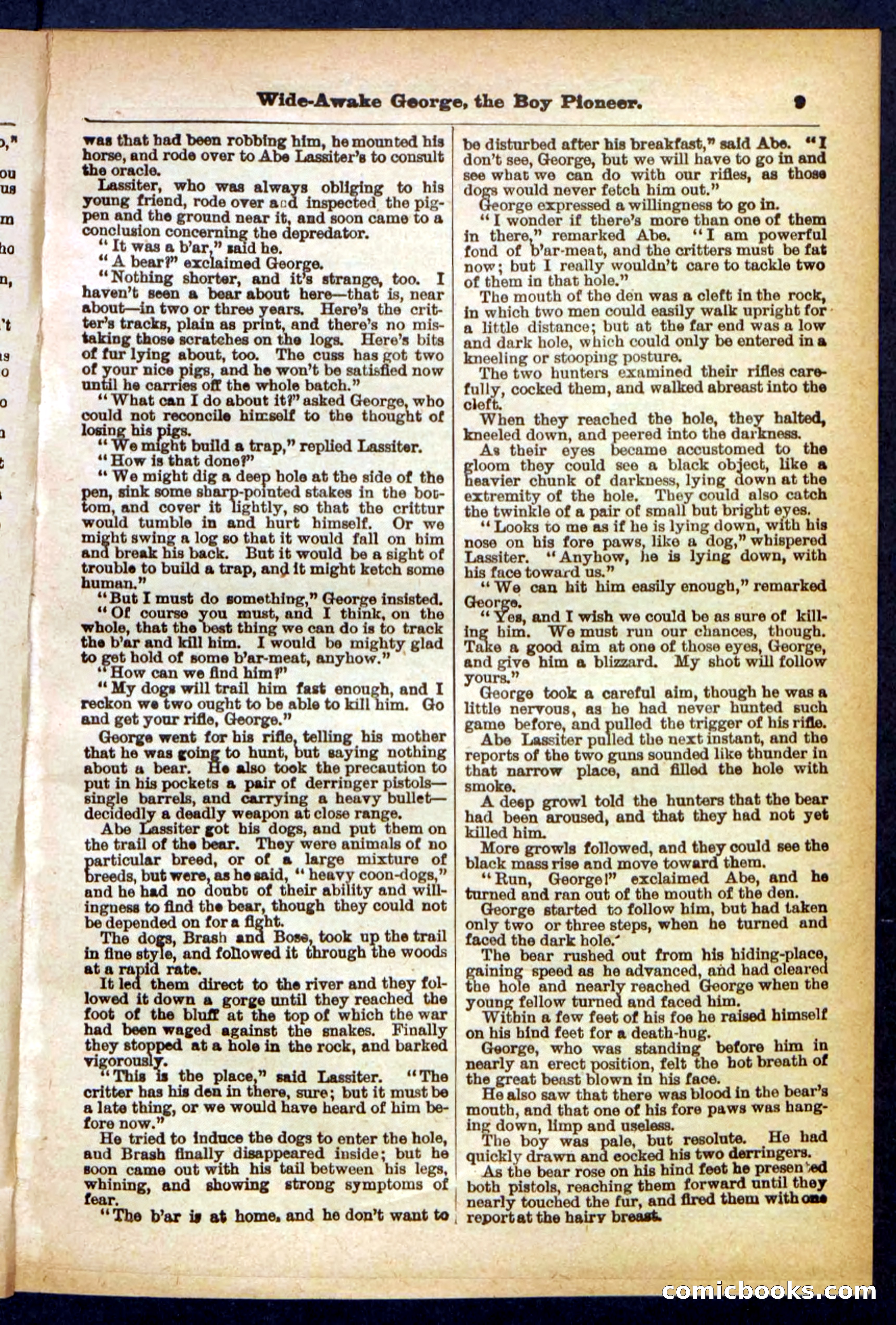 Beadle's Pocket Library No. 382 — page 9 of 32