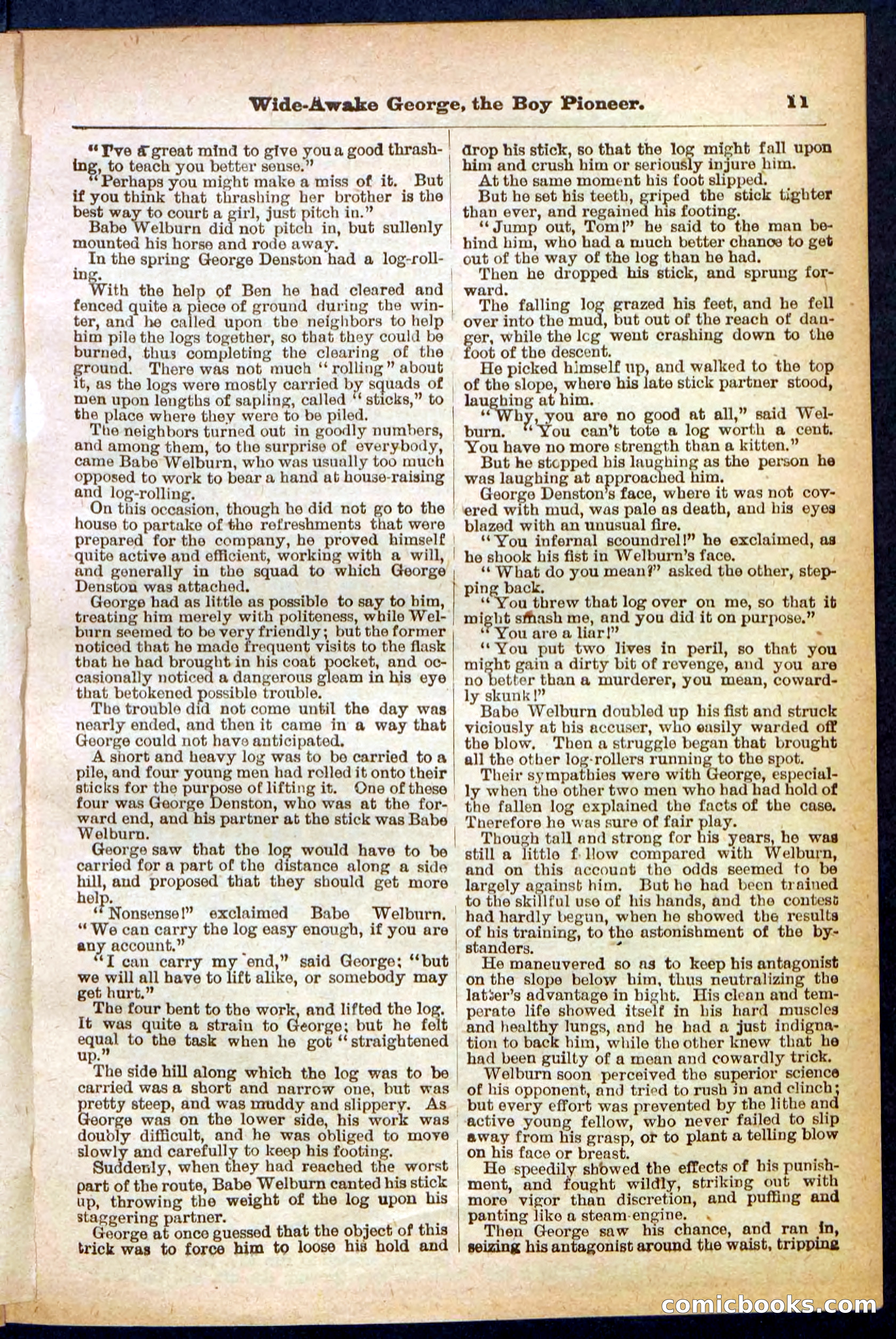 Beadle's Pocket Library No. 382 — page 11 of 32