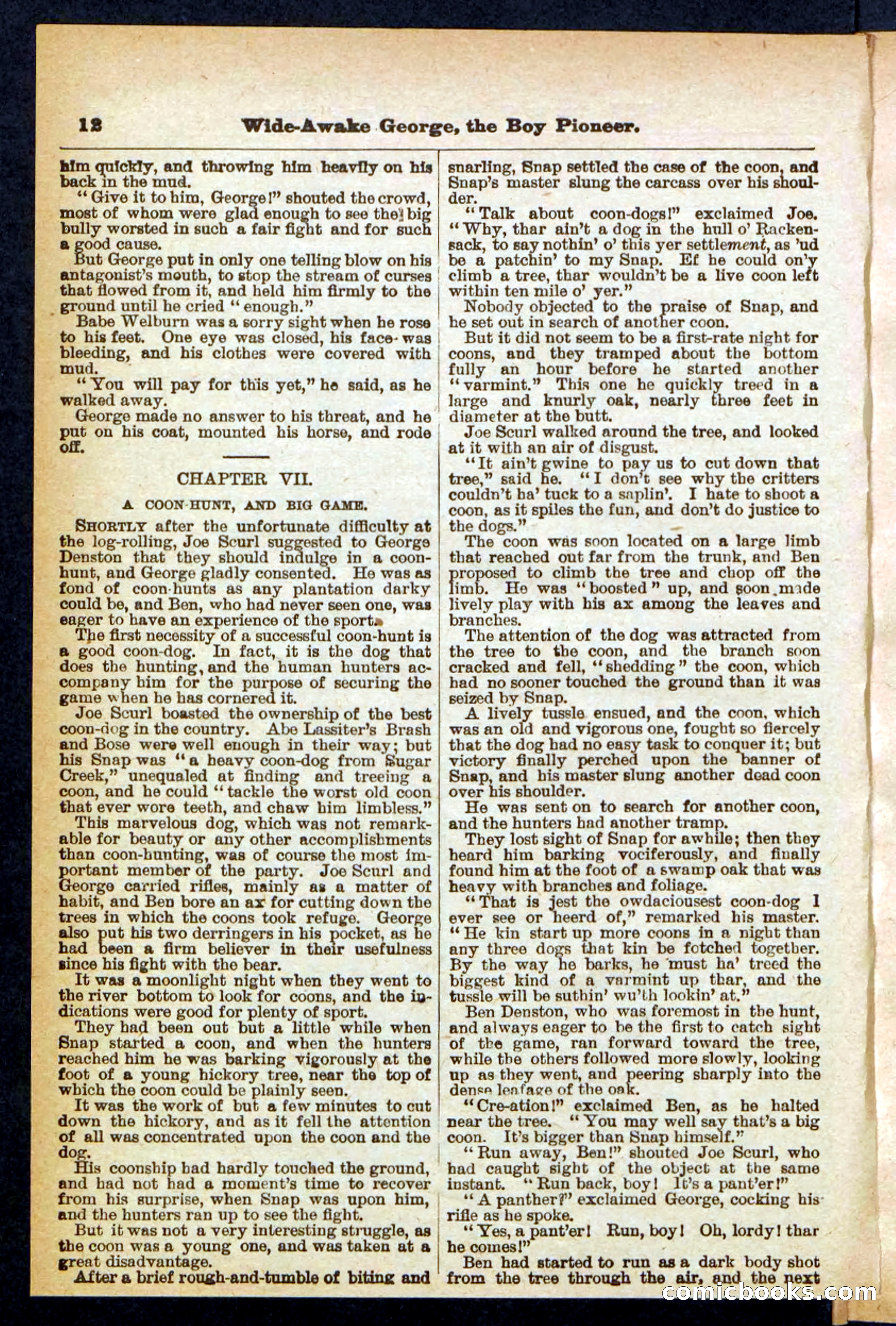 Beadle's Pocket Library No. 382 — page 12 of 32