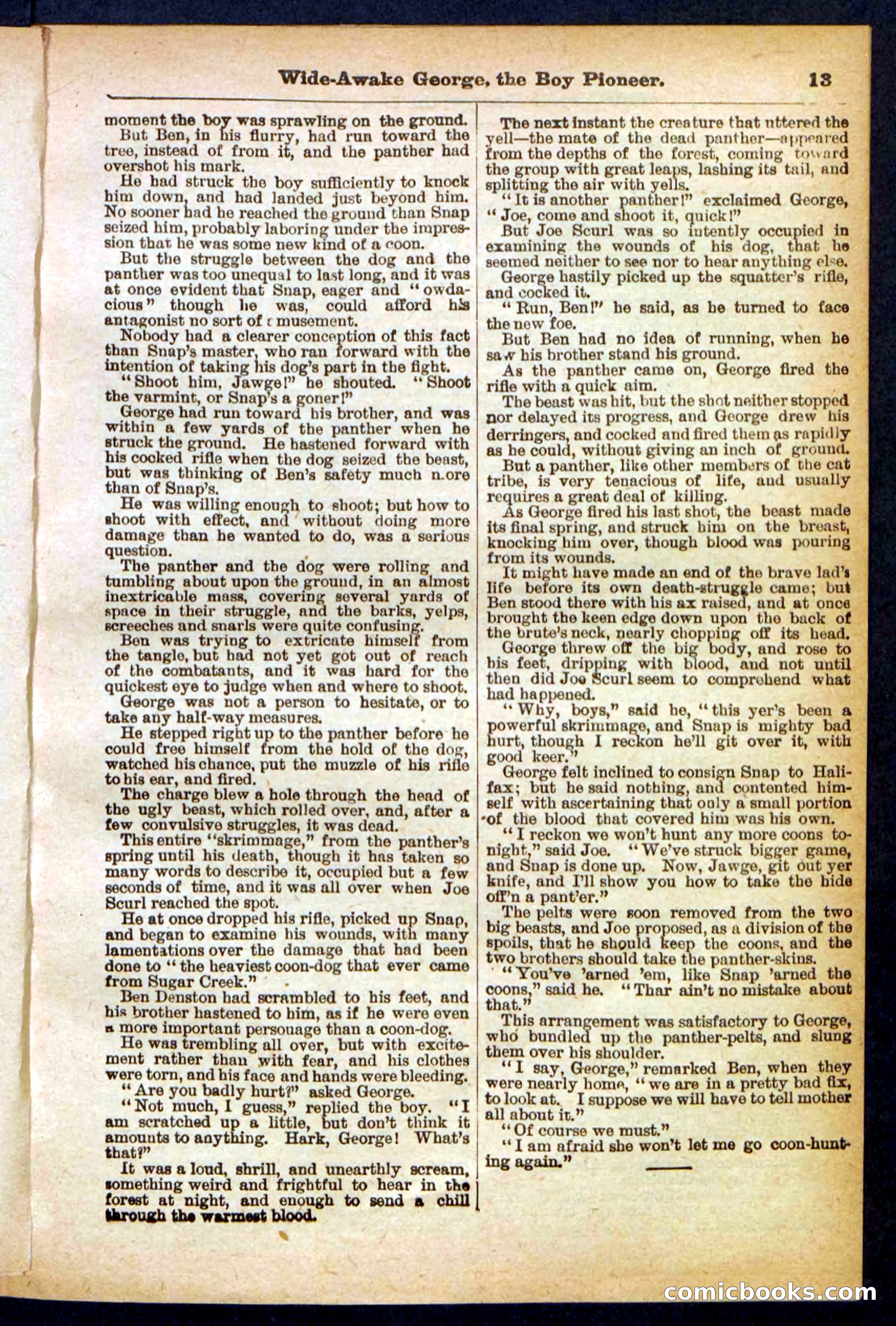 Beadle's Pocket Library No. 382 — page 13 of 32