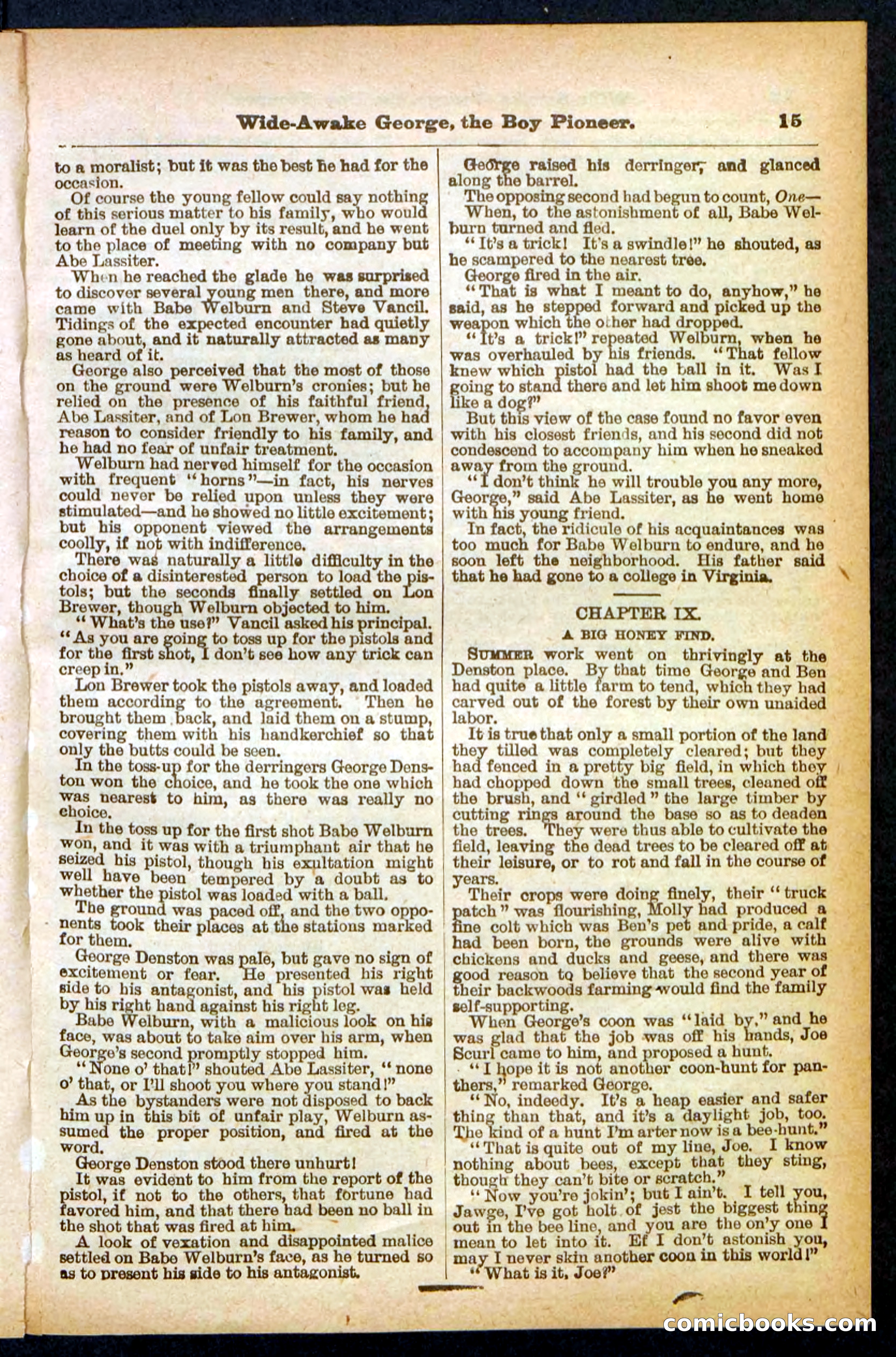 Beadle's Pocket Library No. 382 — page 15 of 32