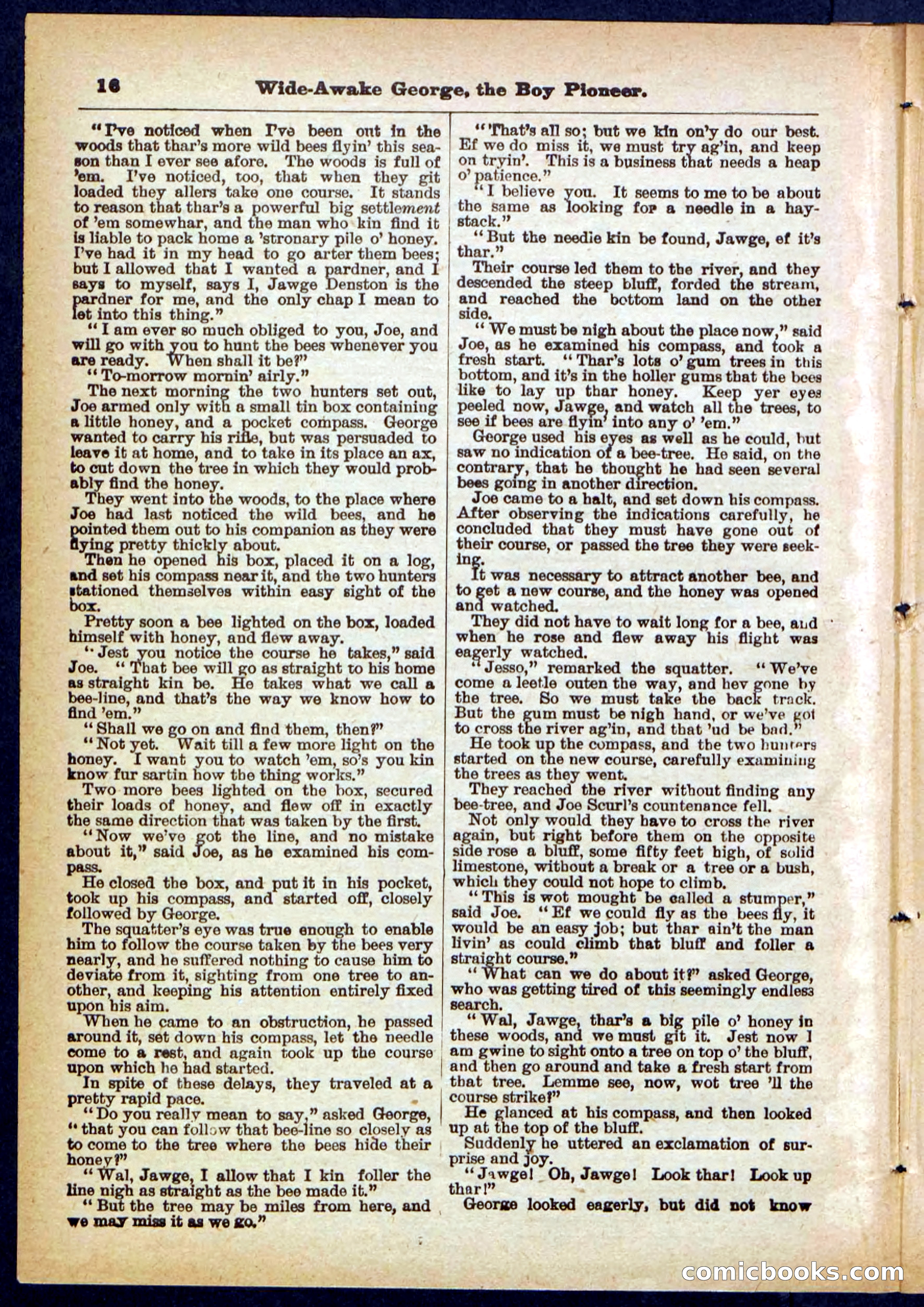 Beadle's Pocket Library No. 382 — page 16 of 32
