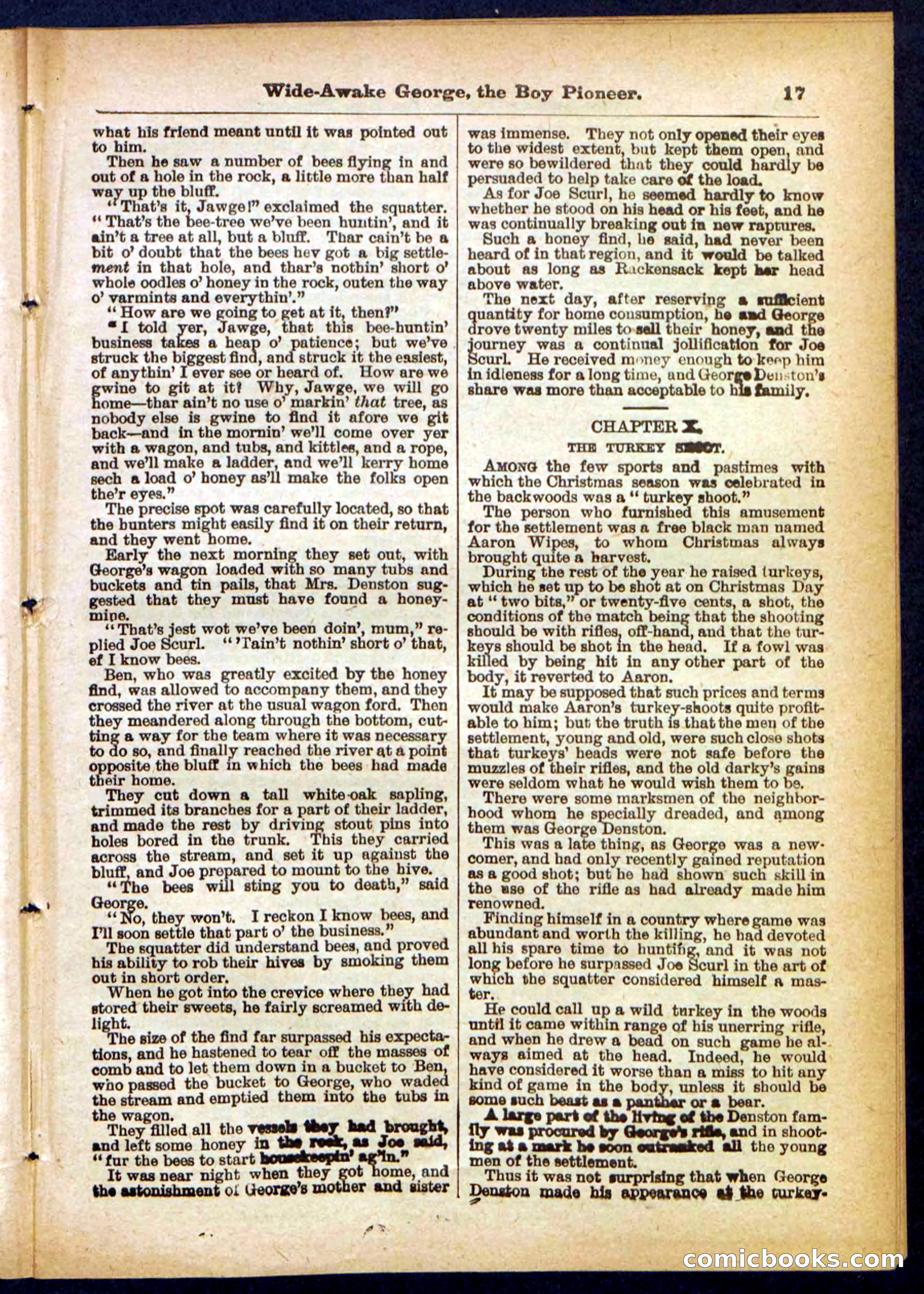 Beadle's Pocket Library No. 382 — page 17 of 32