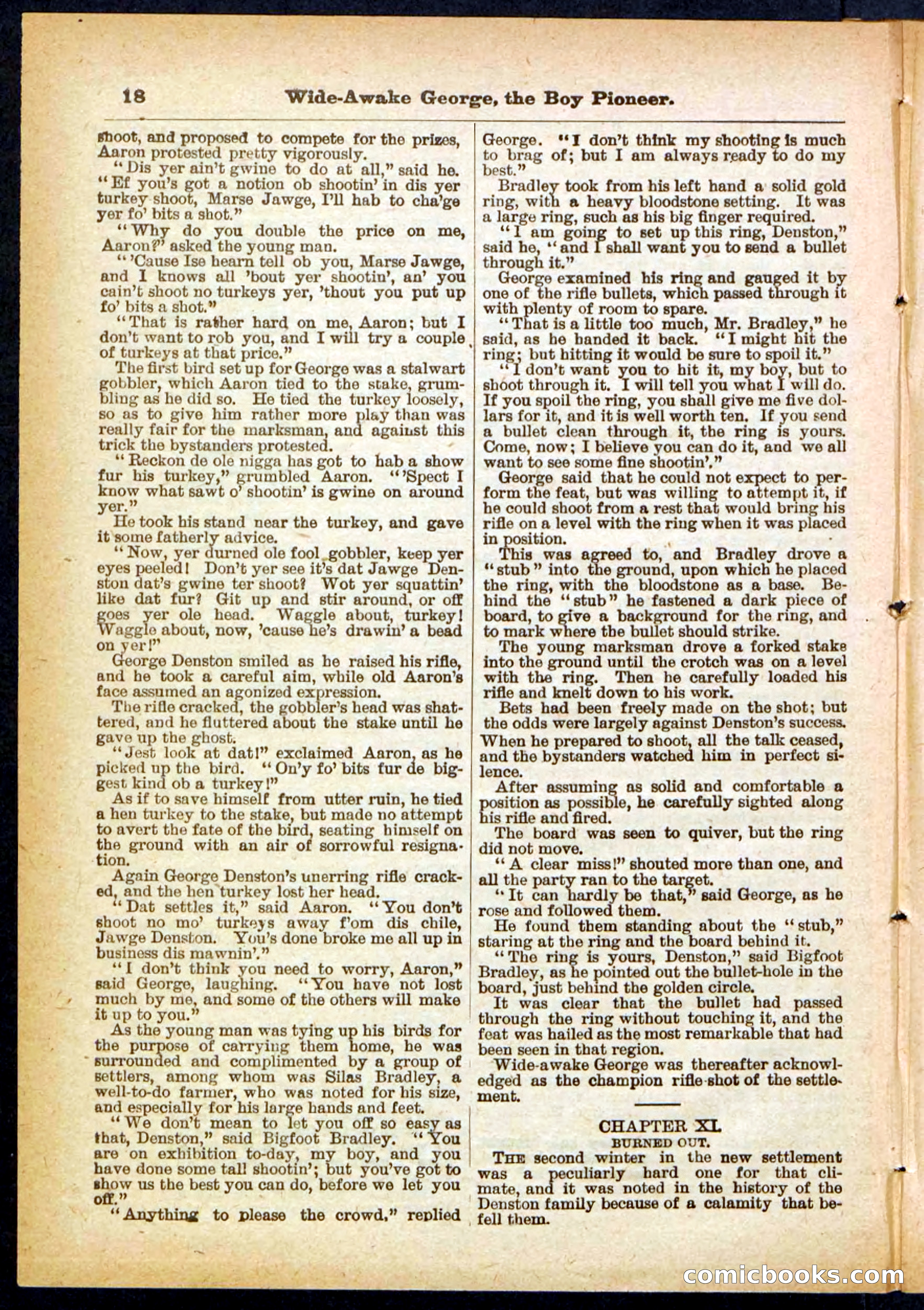 Beadle's Pocket Library No. 382 — page 18 of 32