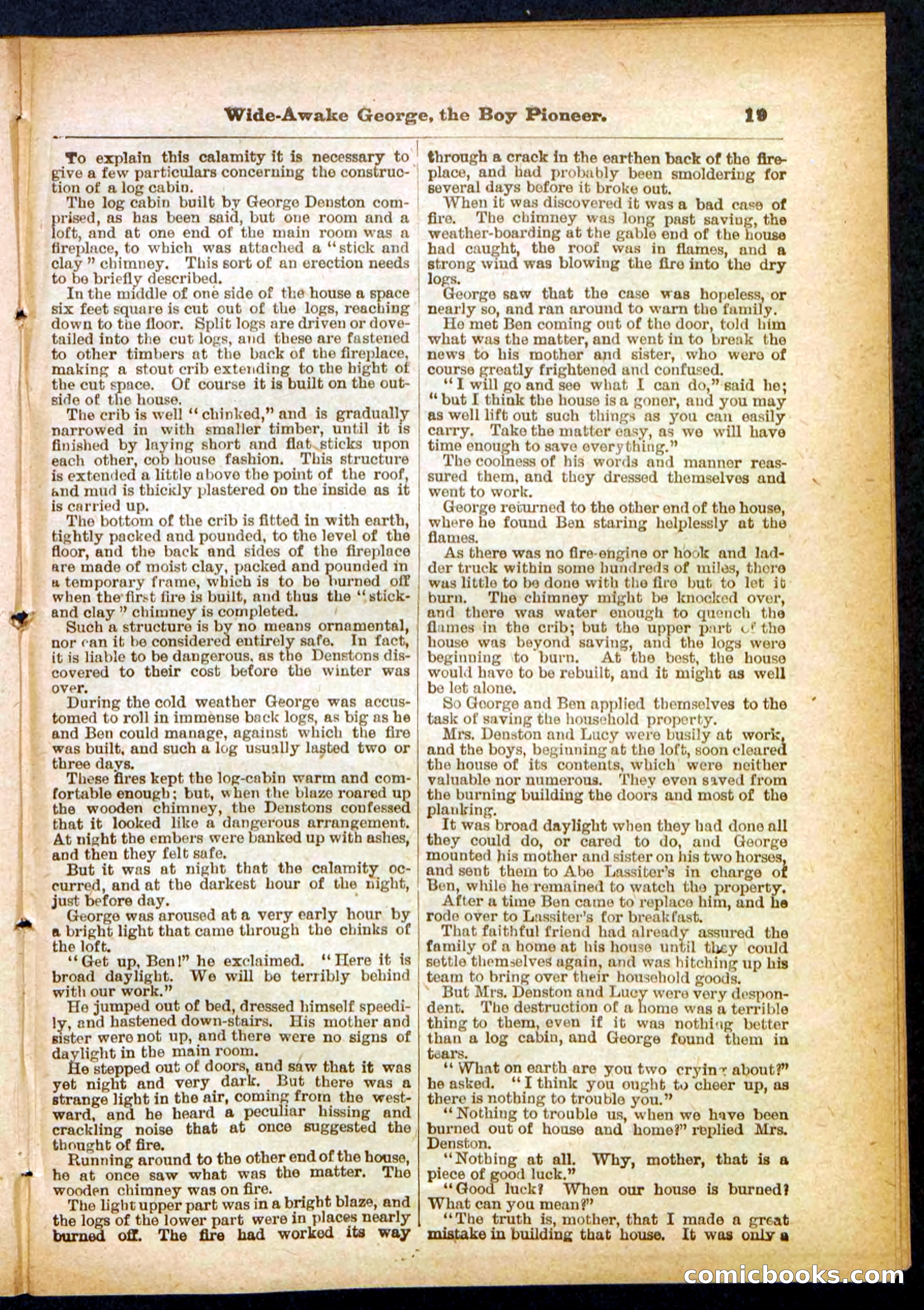 Beadle's Pocket Library No. 382 — page 19 of 32