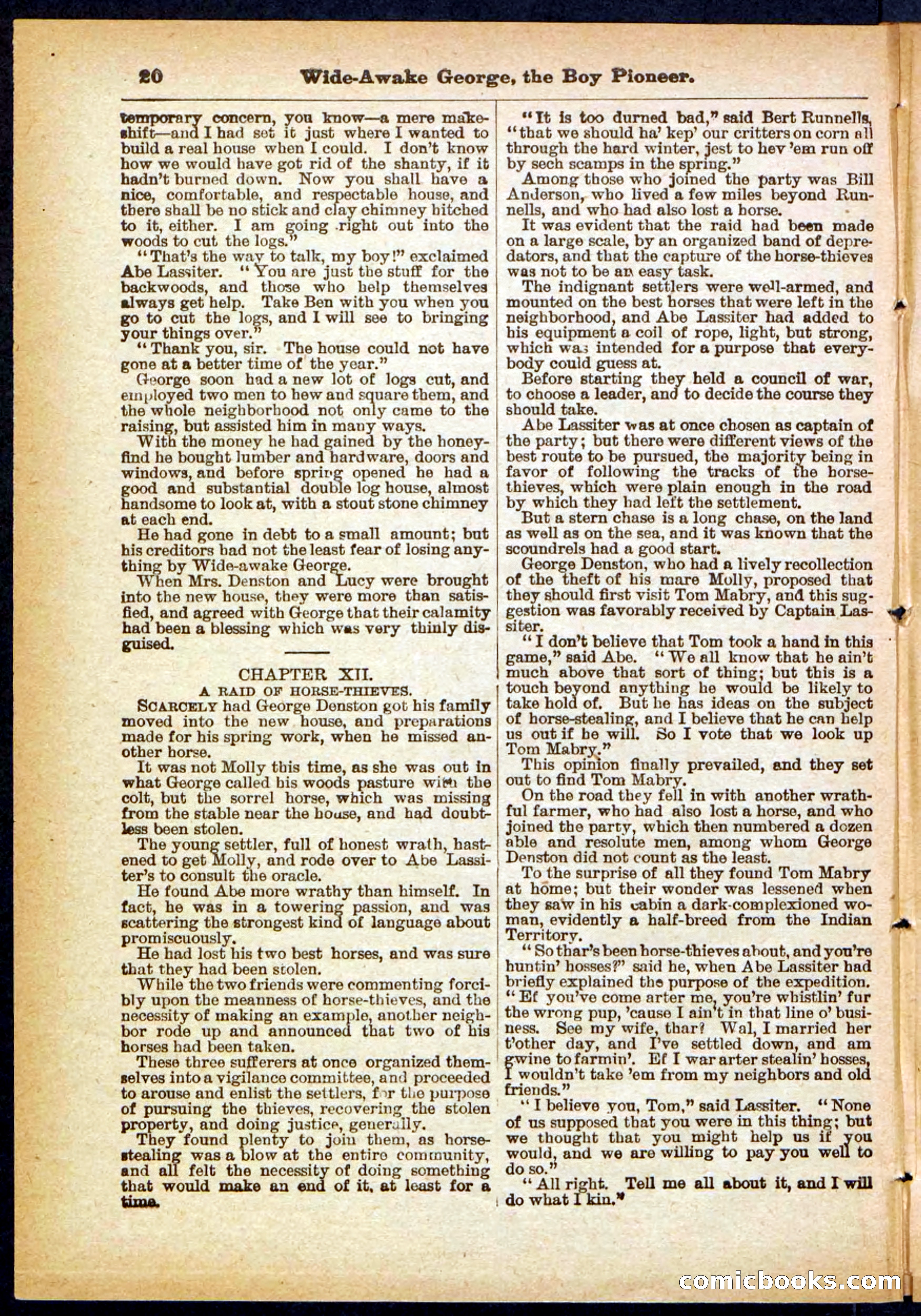 Beadle's Pocket Library No. 382 — page 20 of 32