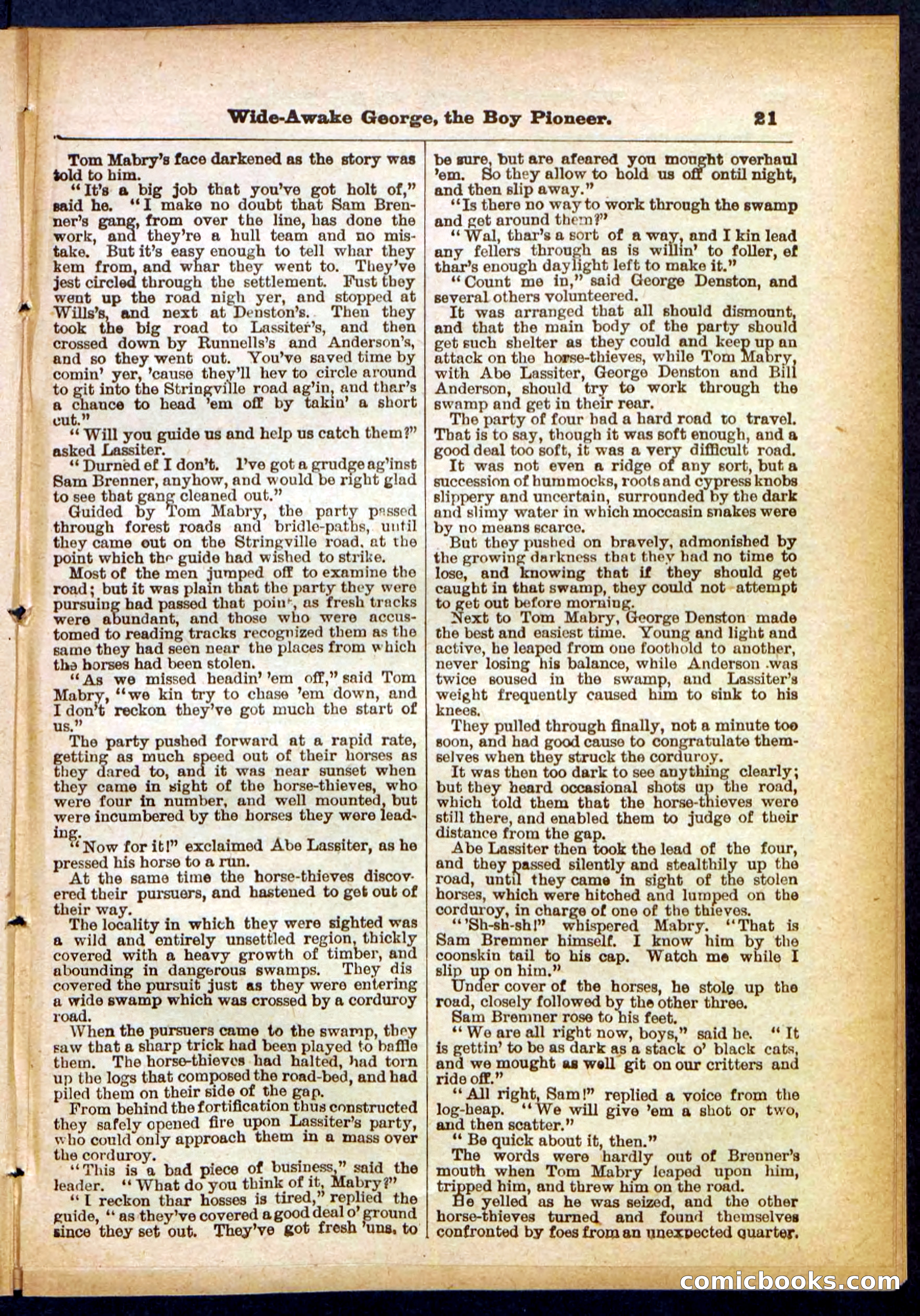 Beadle's Pocket Library No. 382 — page 21 of 32
