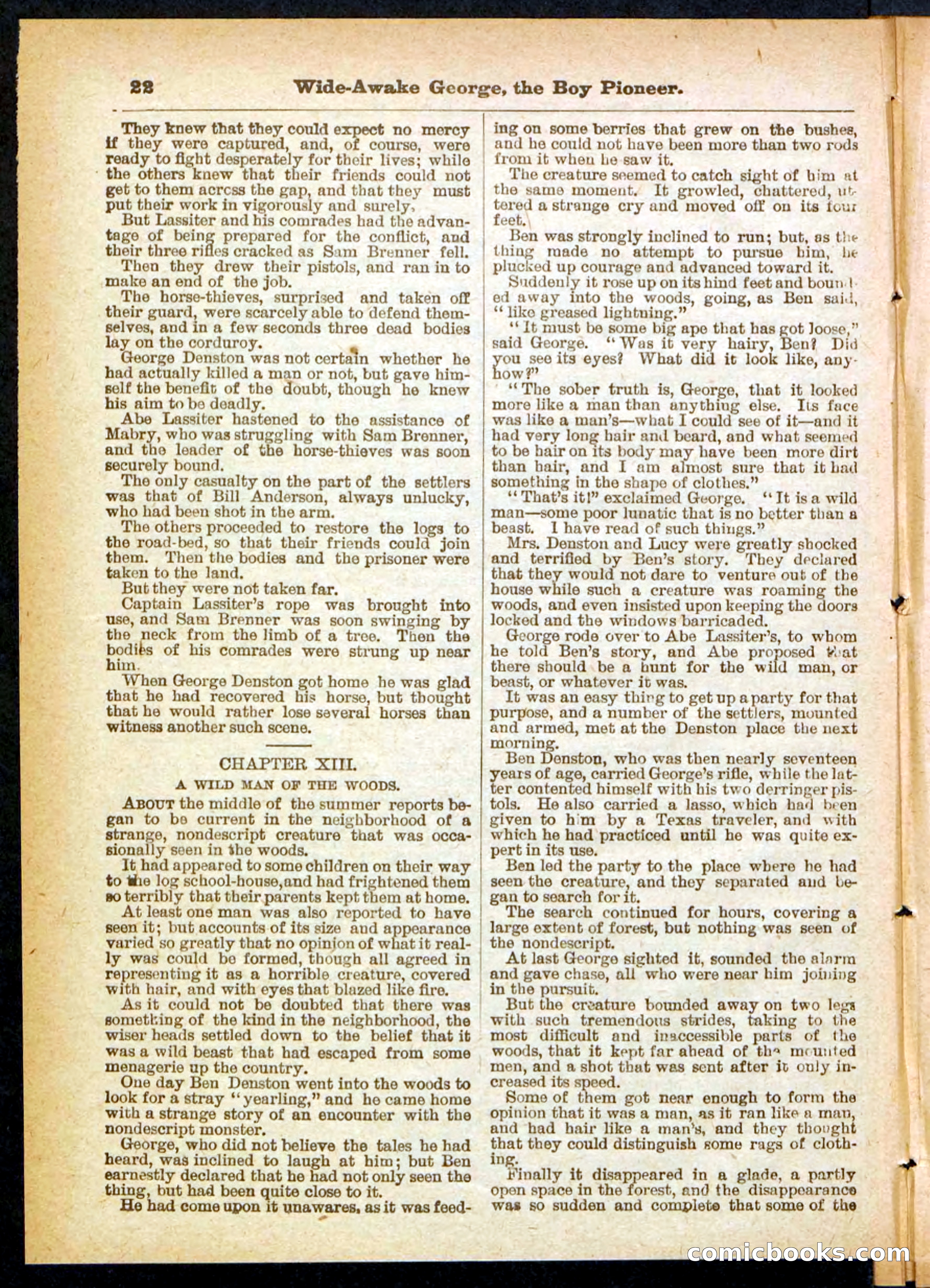 Beadle's Pocket Library No. 382 — page 22 of 32