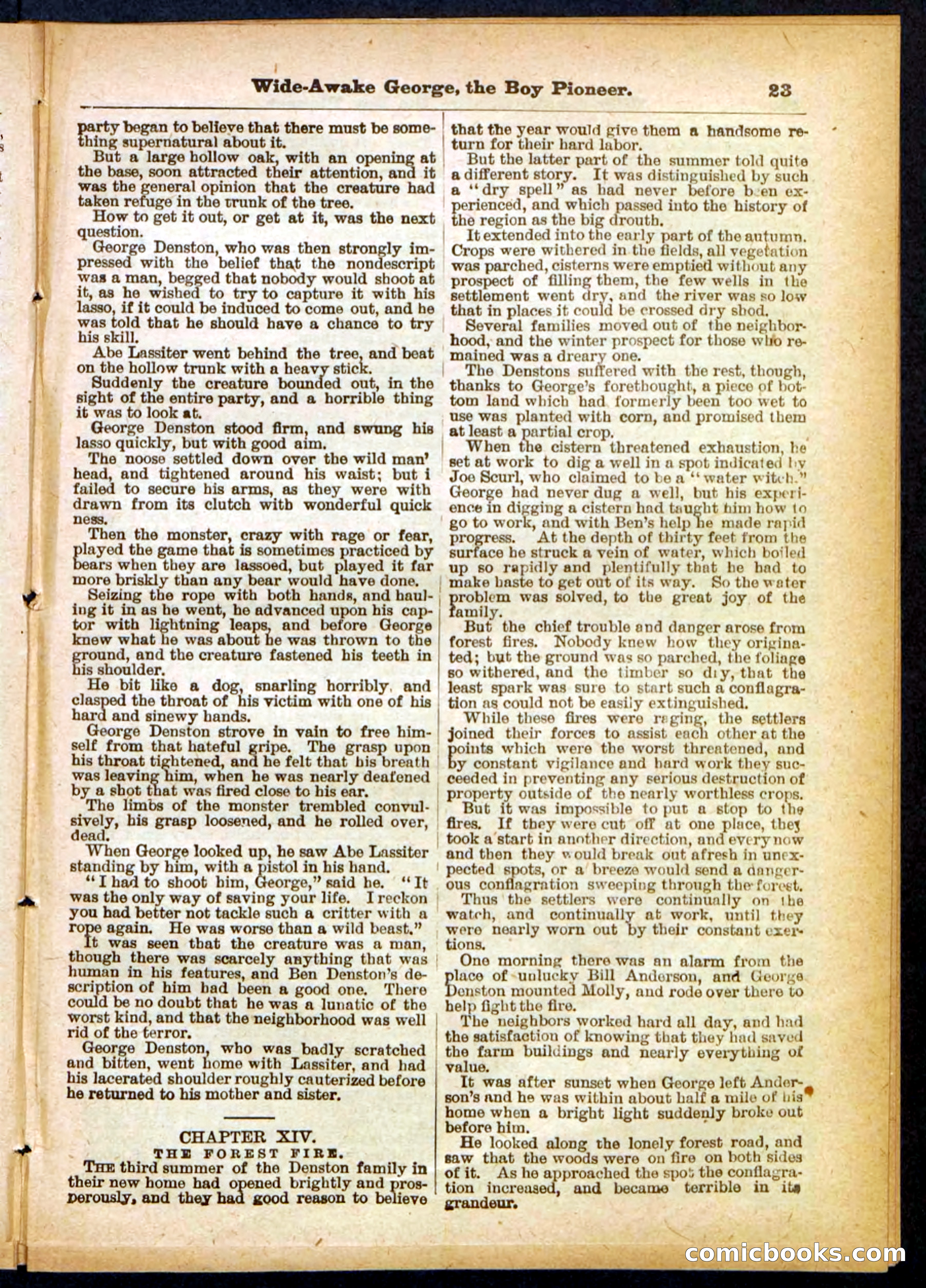 Beadle's Pocket Library No. 382 — page 23 of 32