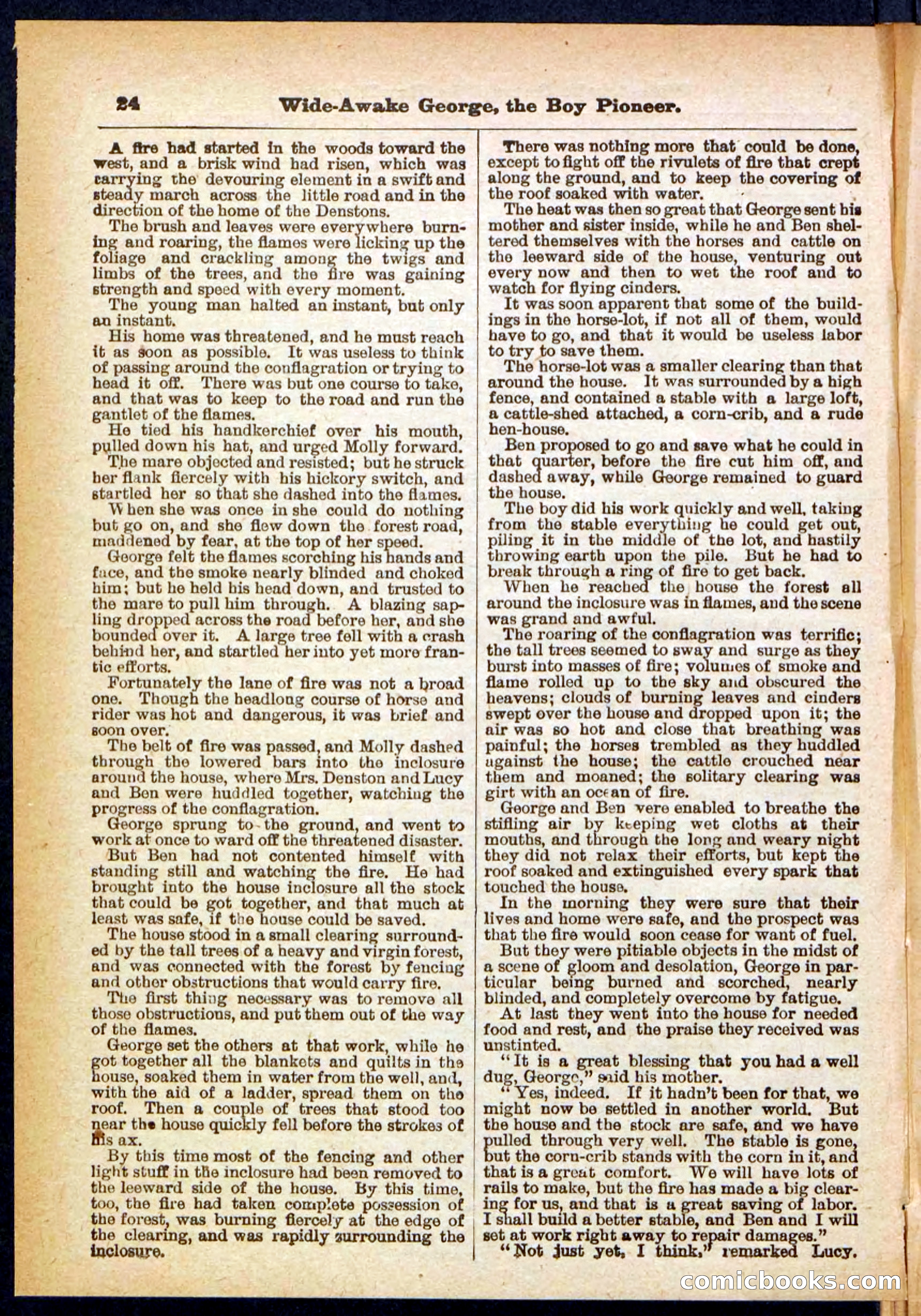 Beadle's Pocket Library No. 382 — page 24 of 32