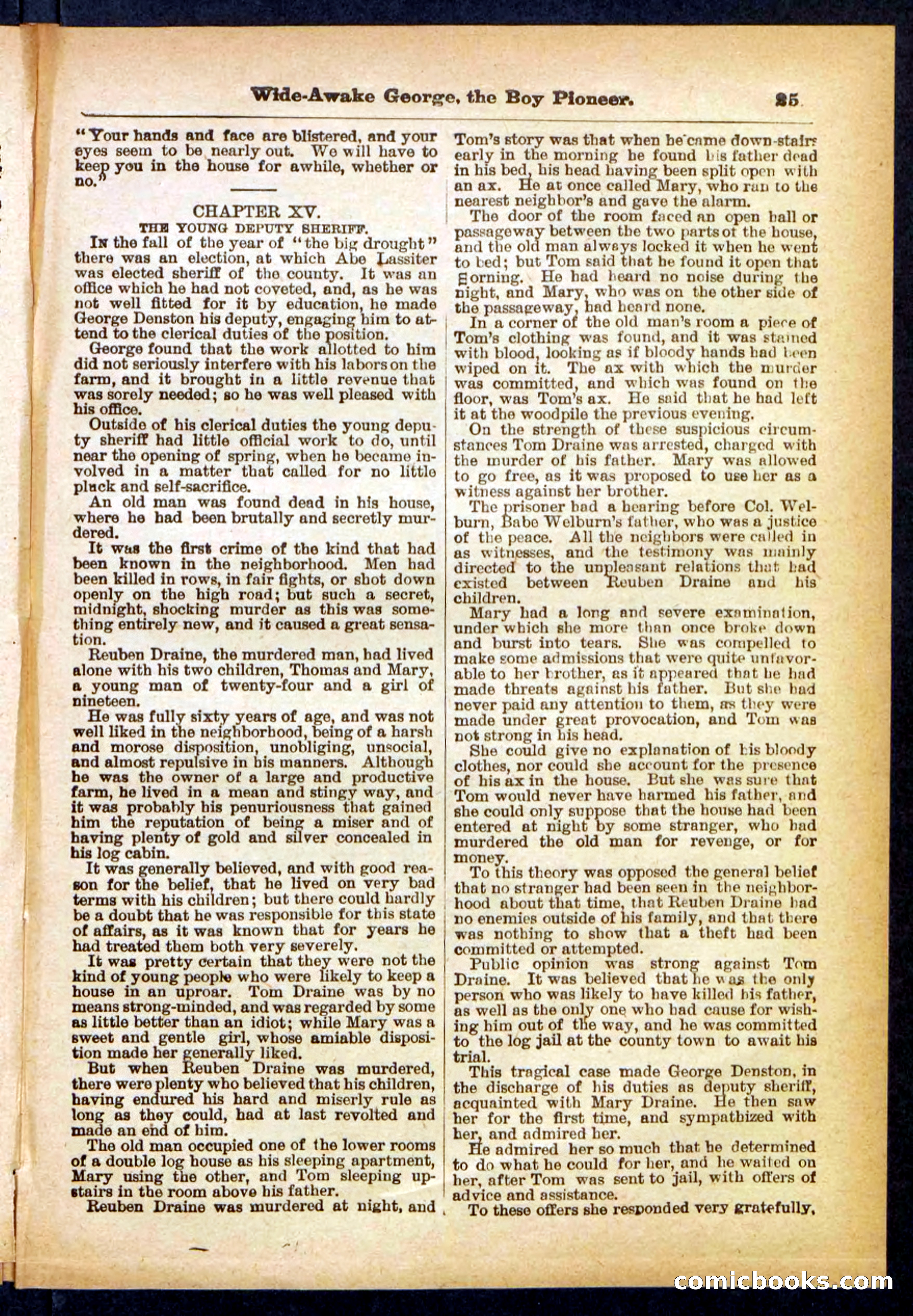 Beadle's Pocket Library No. 382 — page 25 of 32
