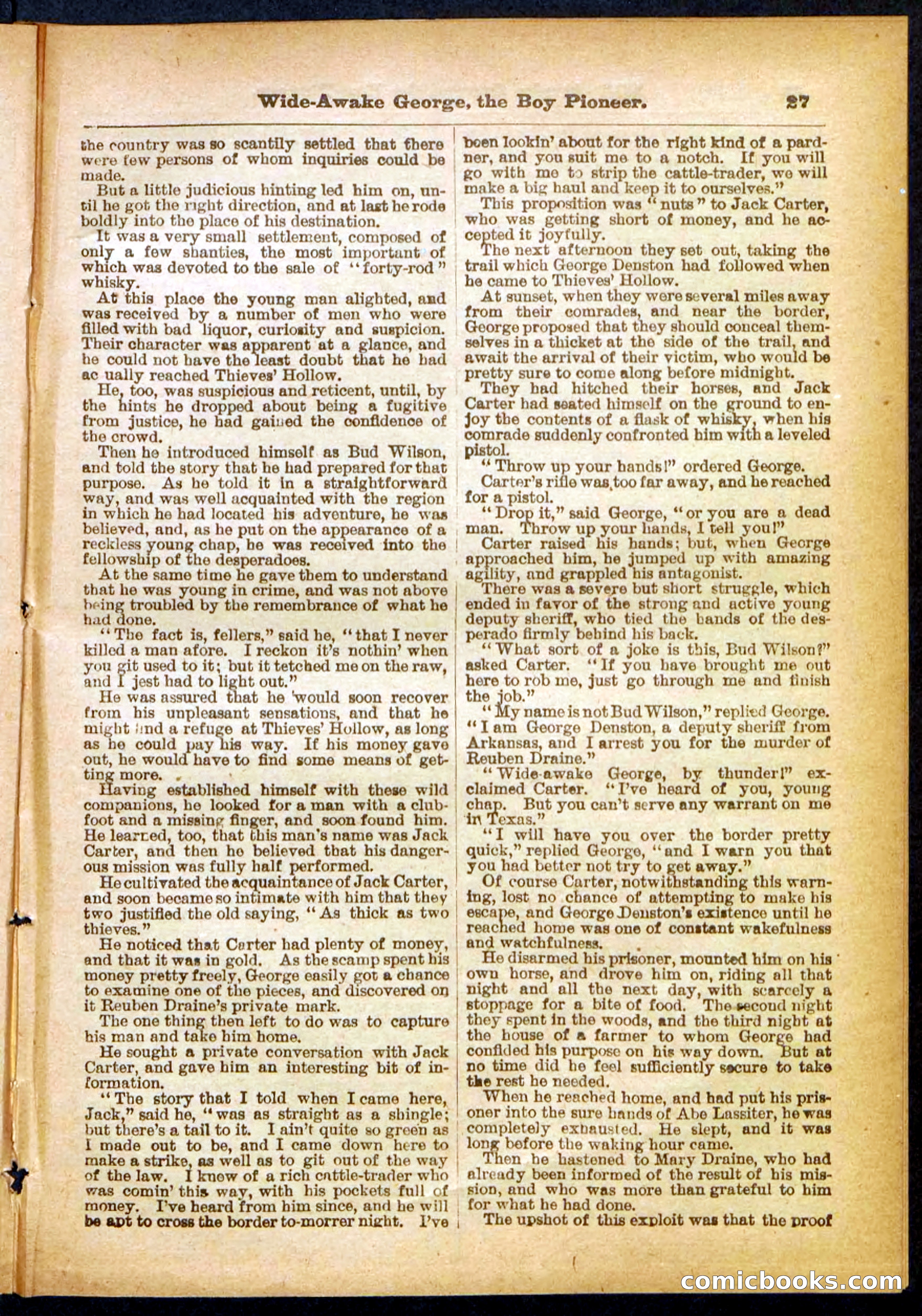 Beadle's Pocket Library No. 382 — page 27 of 32