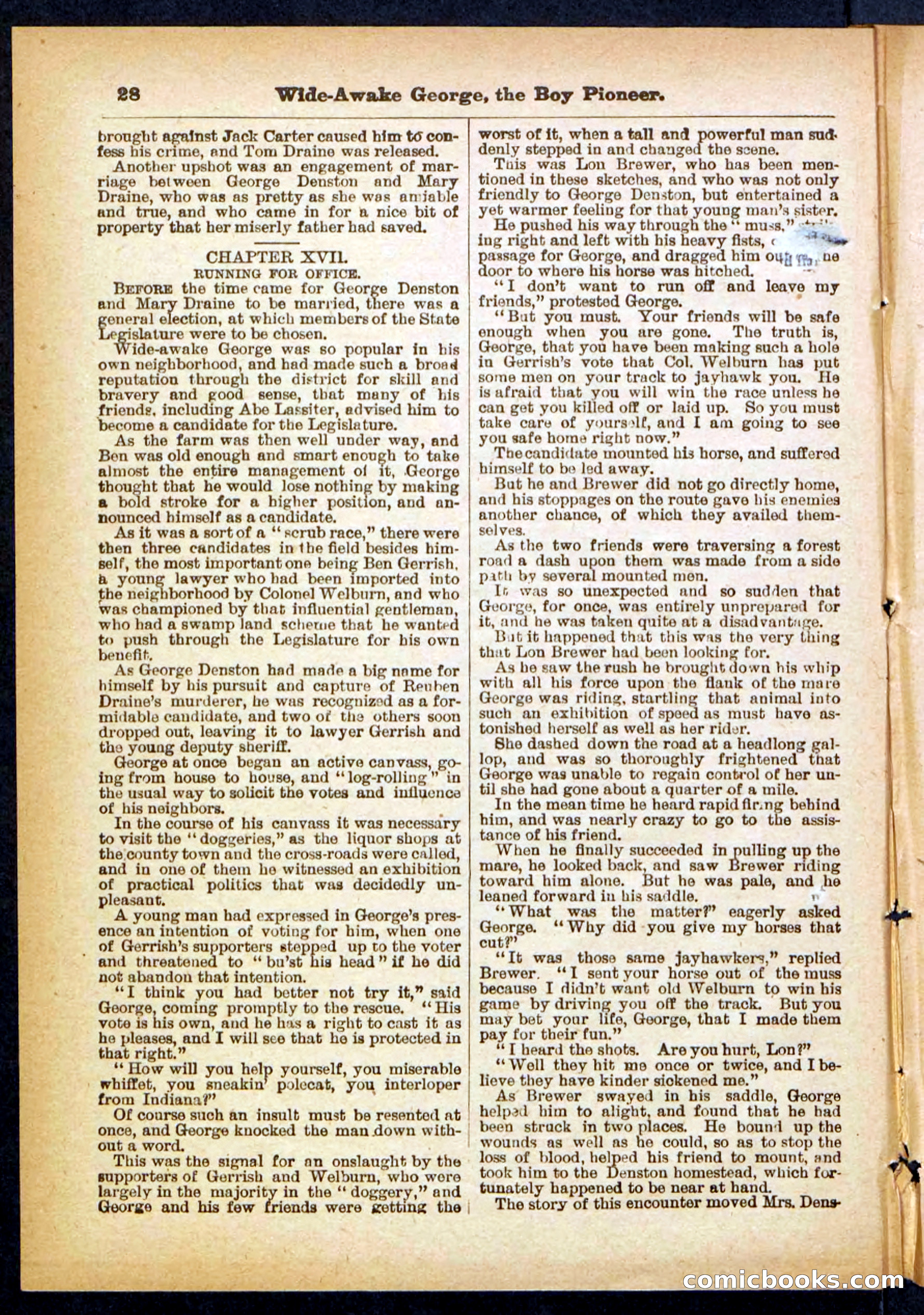 Beadle's Pocket Library No. 382 — page 28 of 32