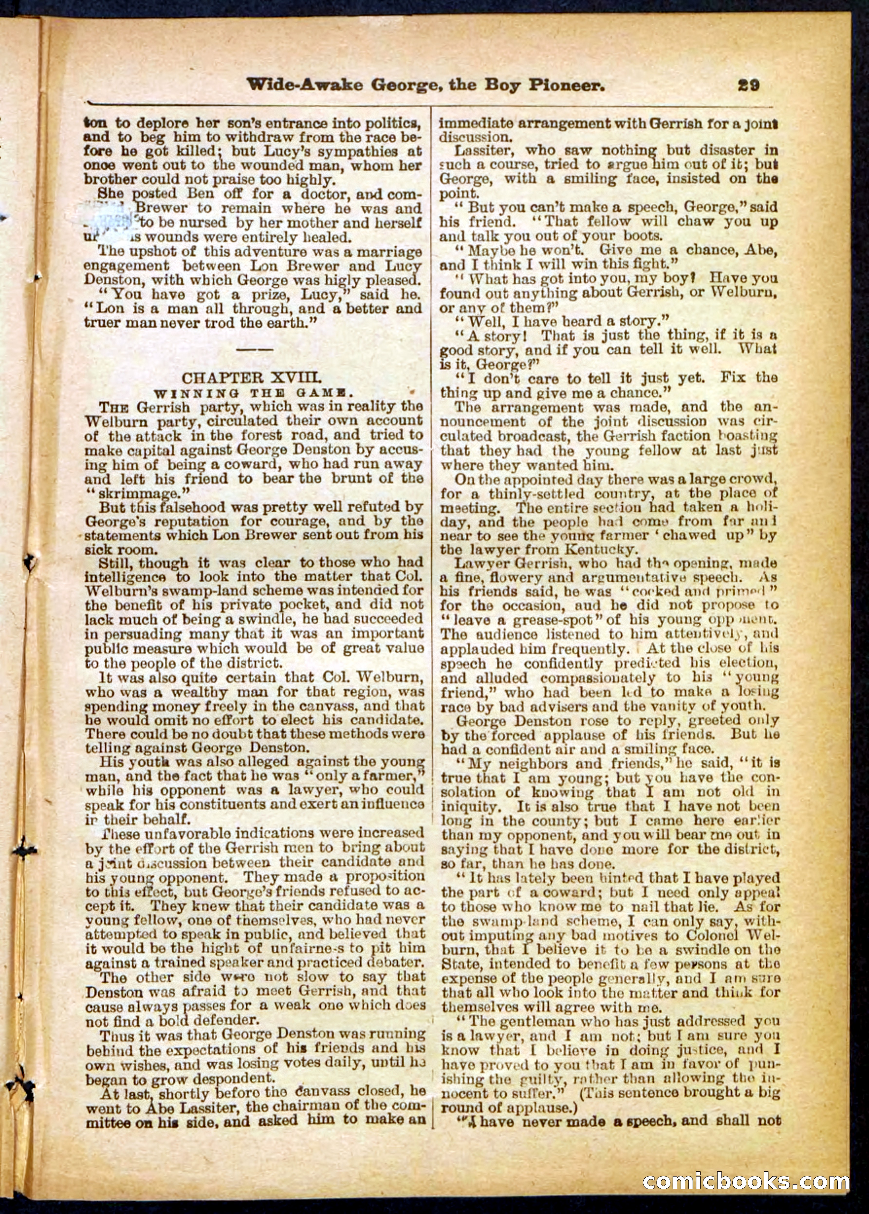 Beadle's Pocket Library No. 382 — page 29 of 32