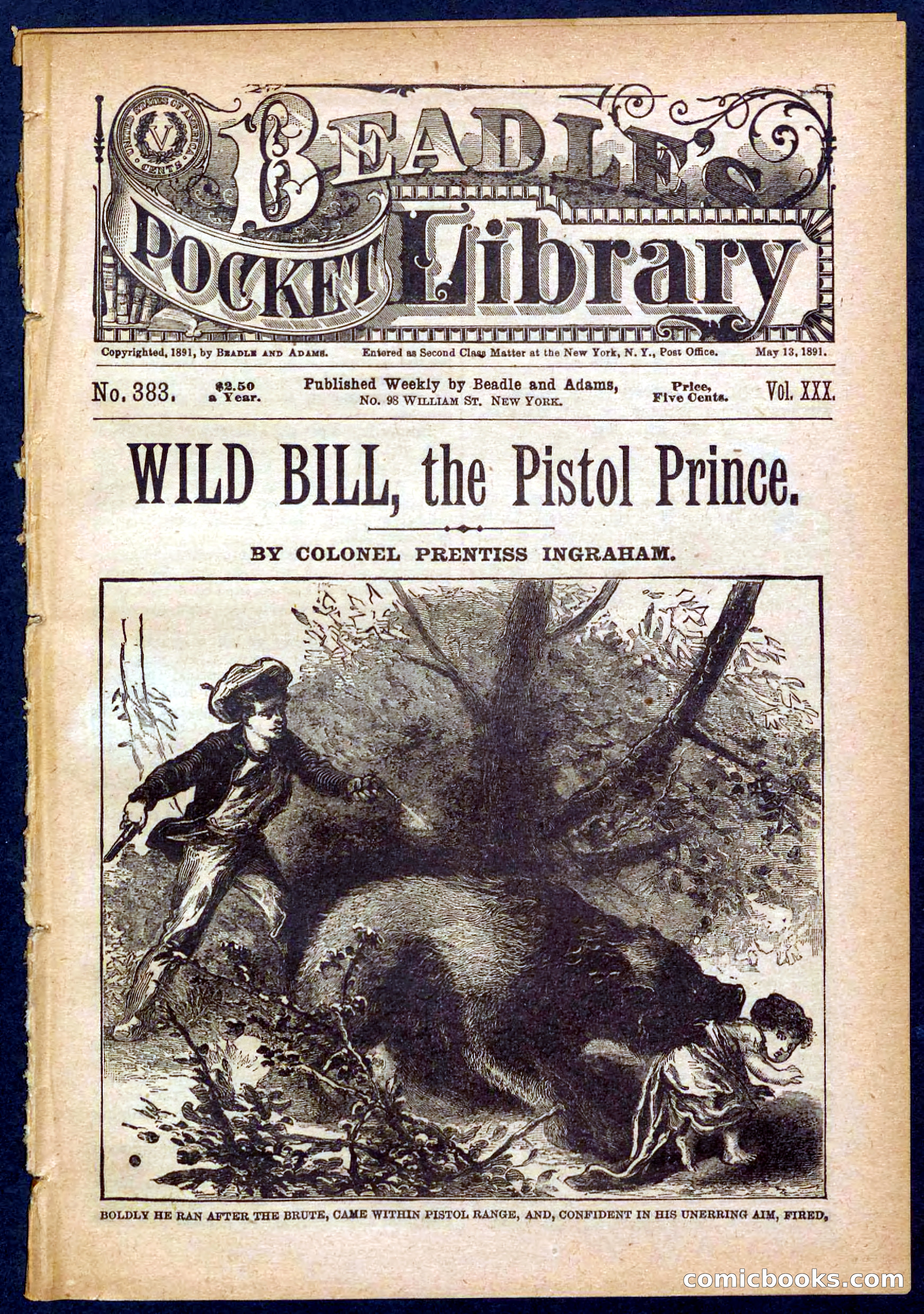 Beadle's Pocket Library No. 383