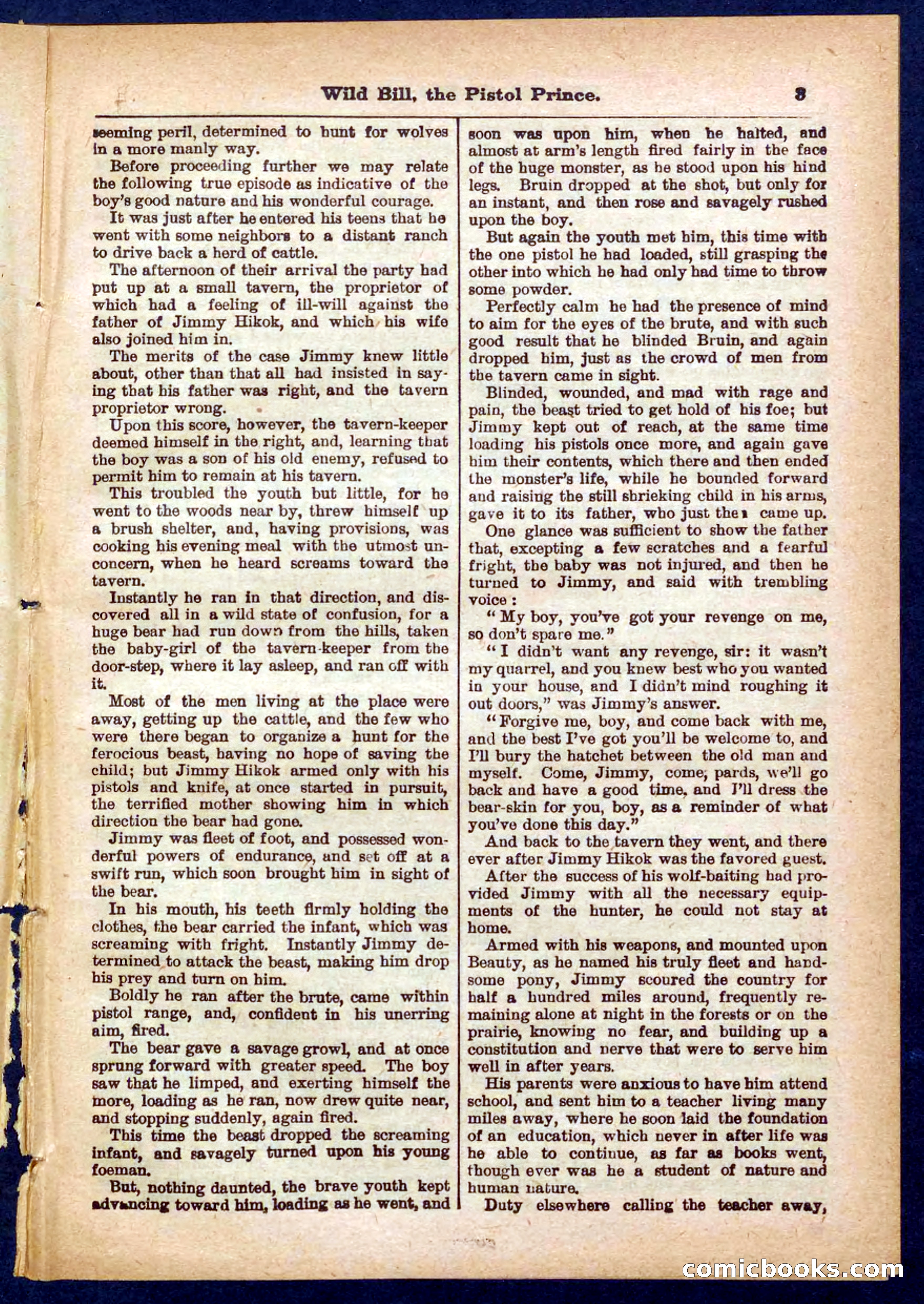 Beadle's Pocket Library No. 383 — page 3 of 32