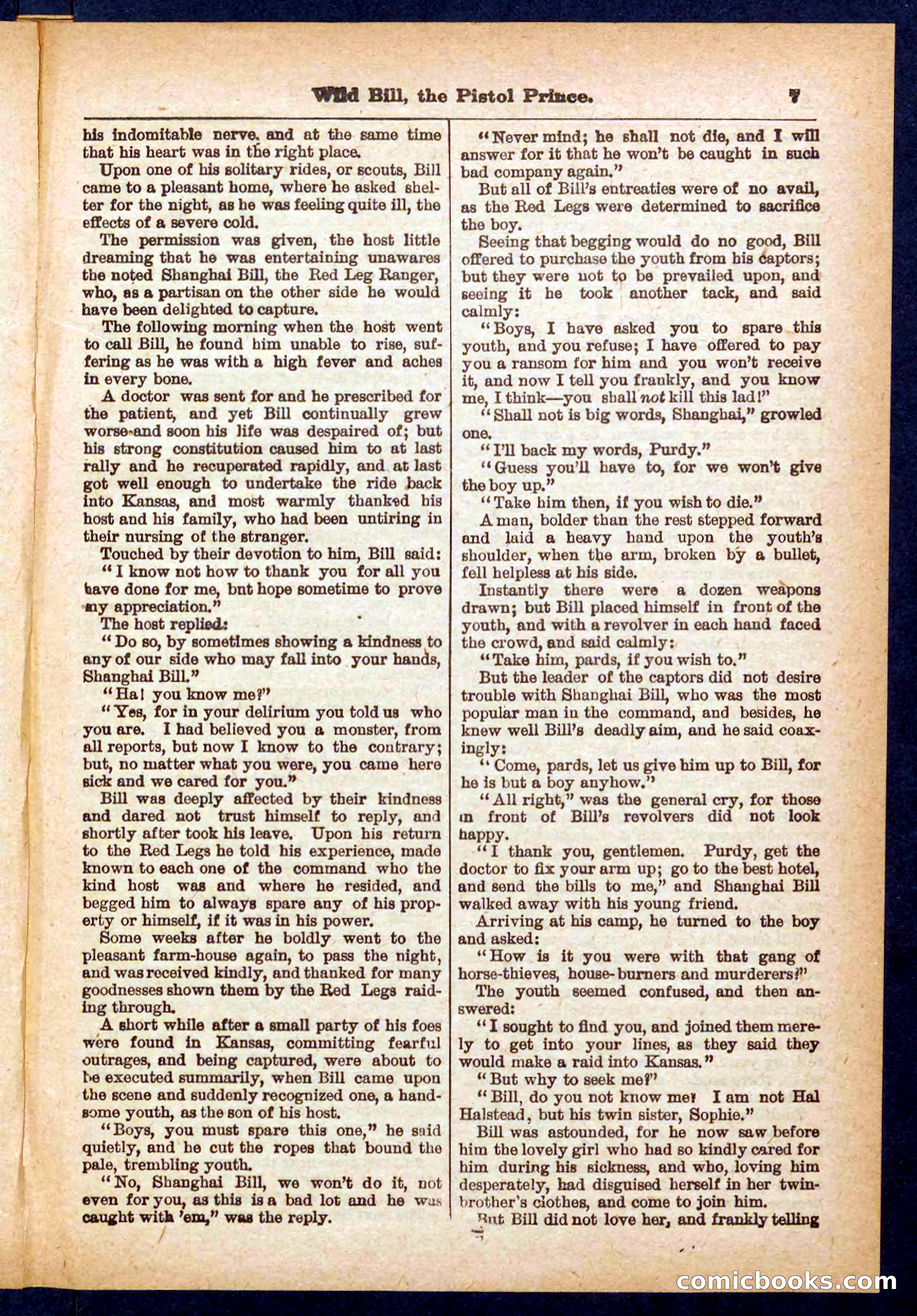 Beadle's Pocket Library No. 383 — page 7 of 32