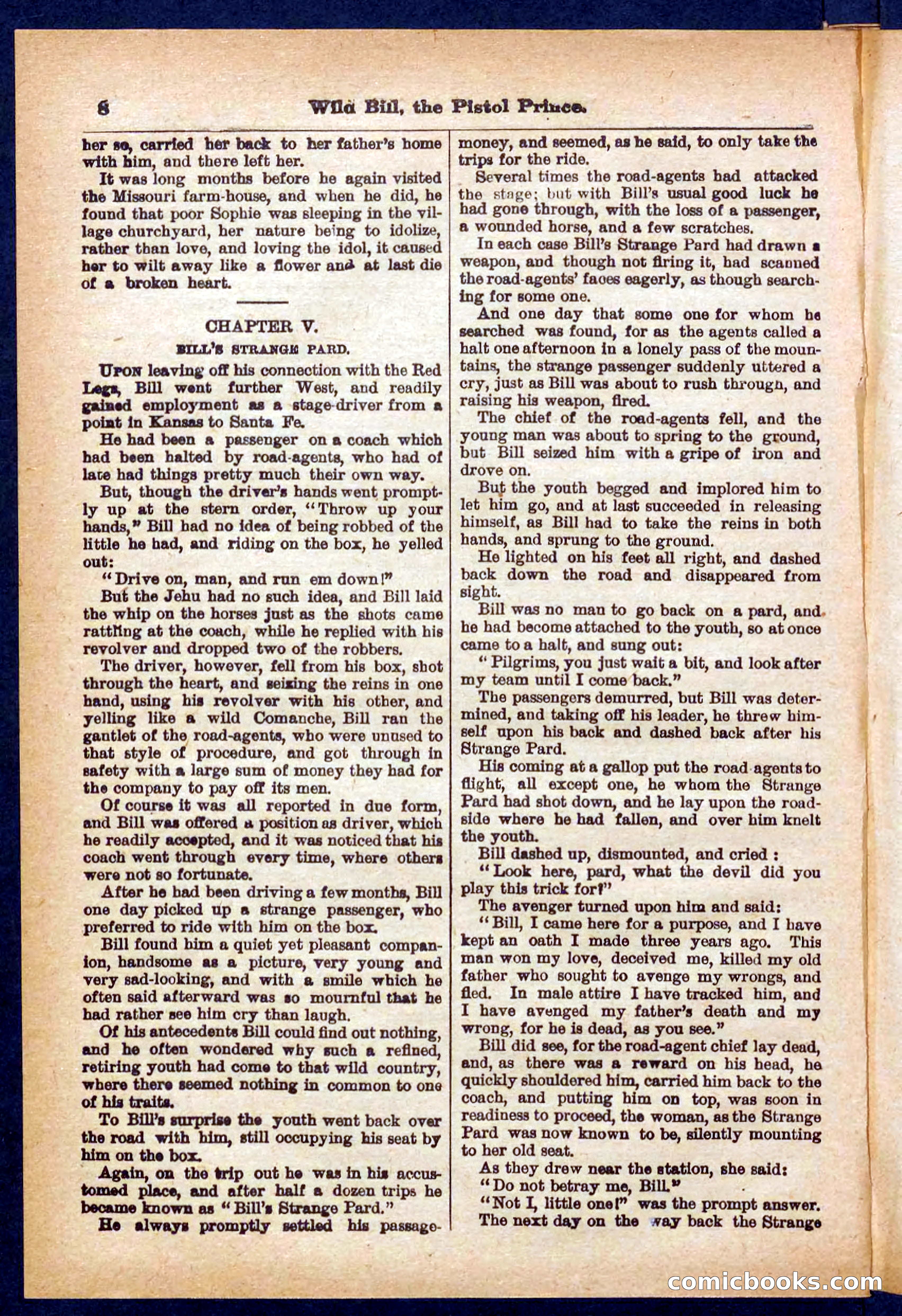 Beadle's Pocket Library No. 383 — page 8 of 32