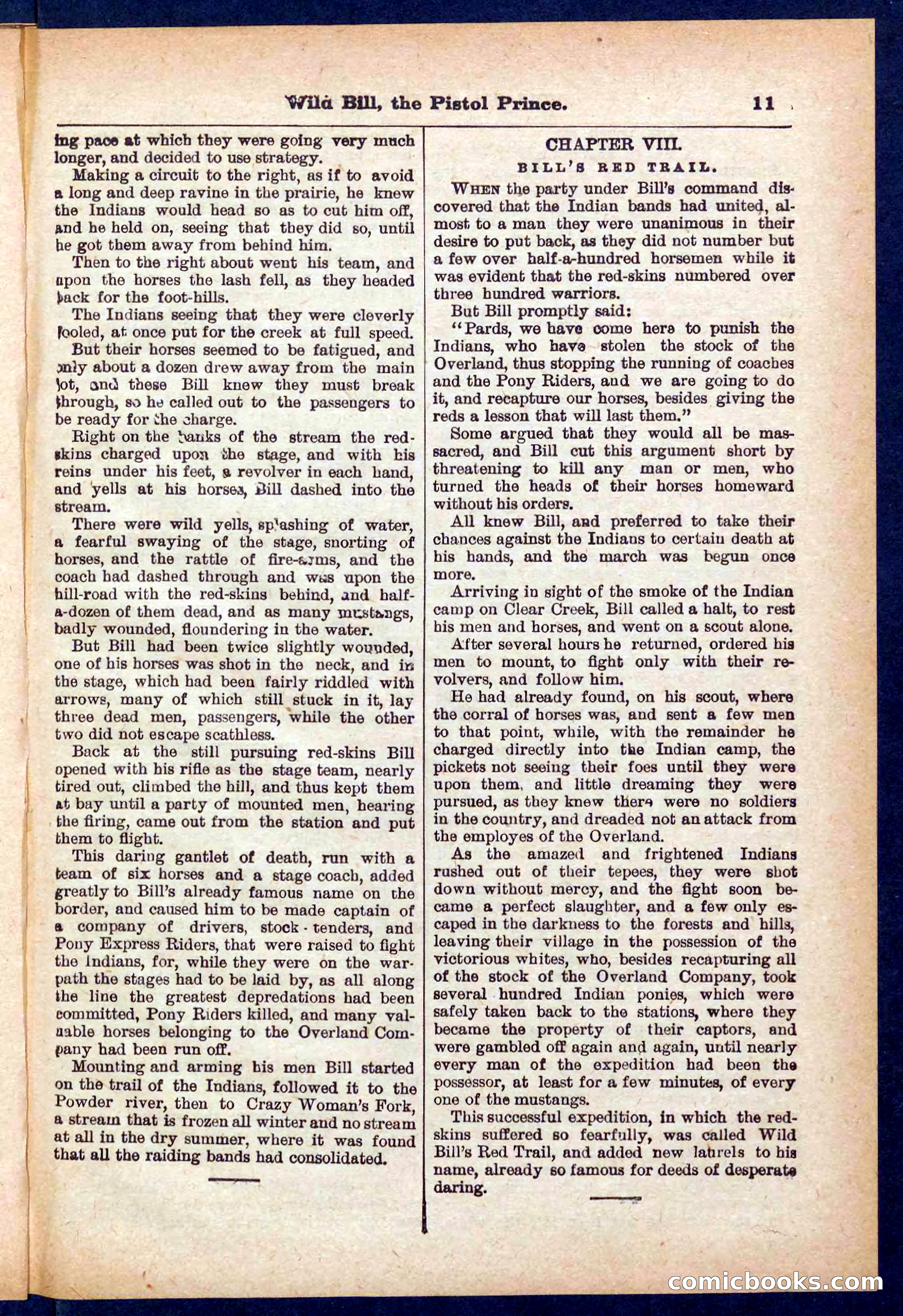 Beadle's Pocket Library No. 383 — page 11 of 32