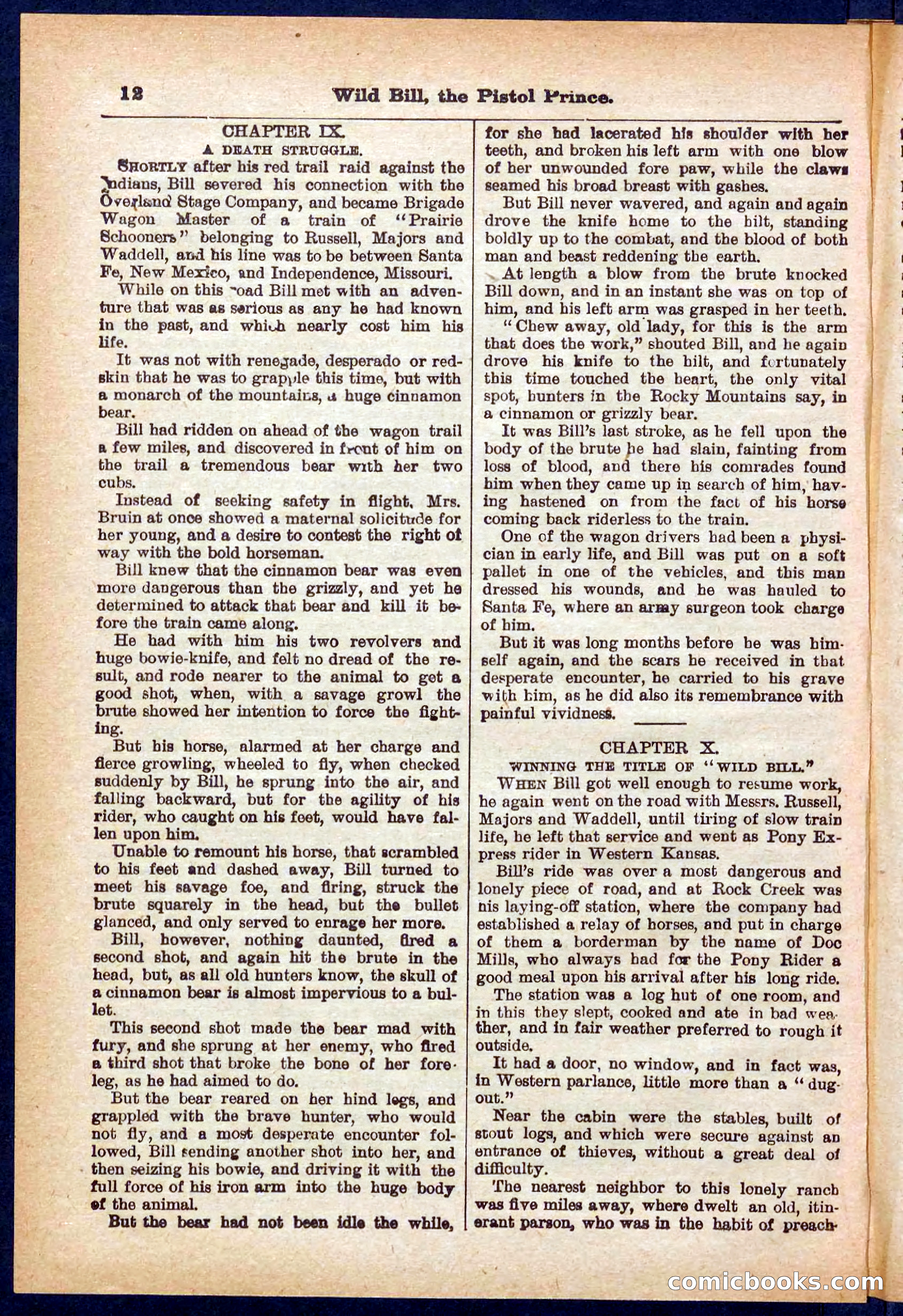 Beadle's Pocket Library No. 383 — page 12 of 32