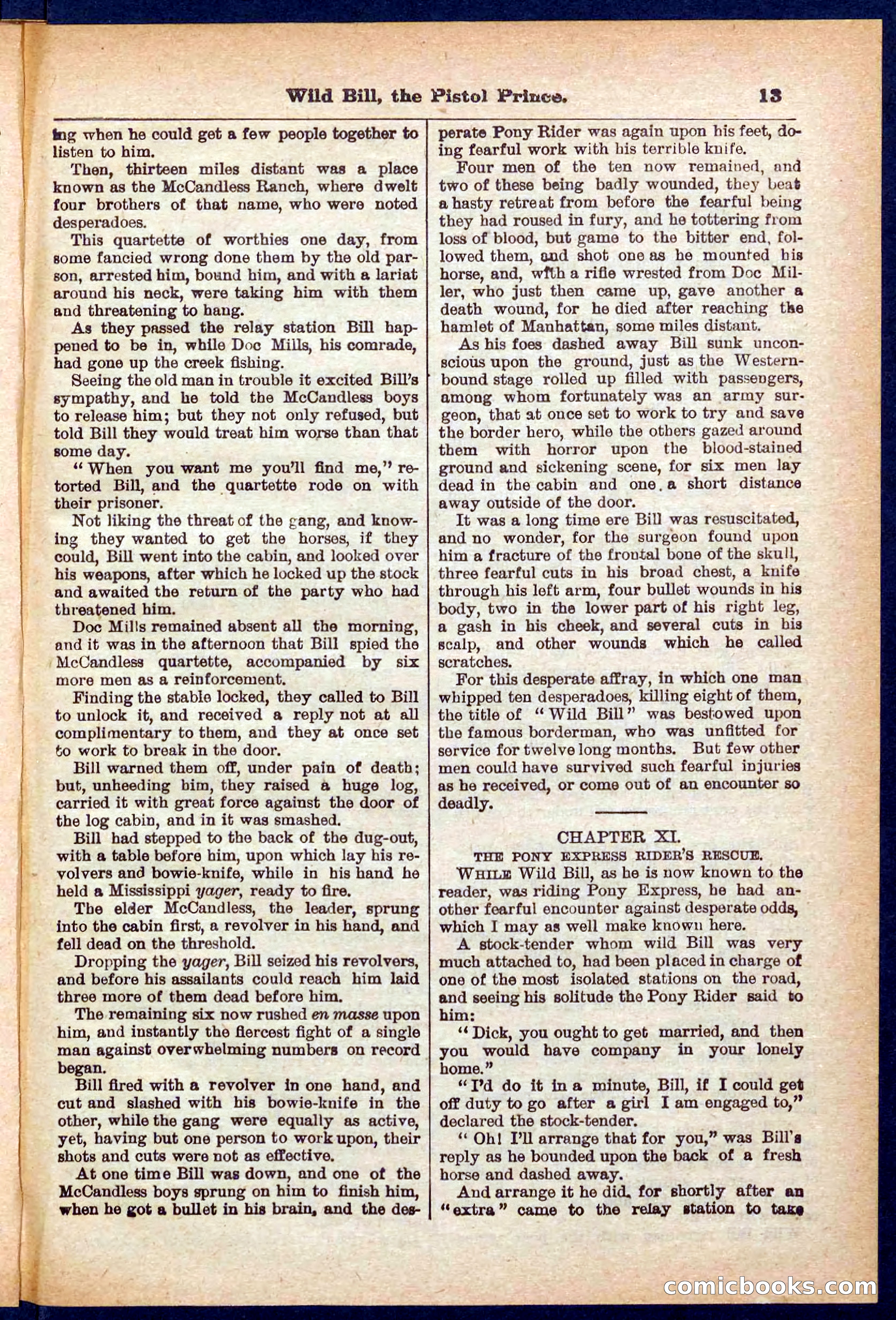 Beadle's Pocket Library No. 383 — page 13 of 32