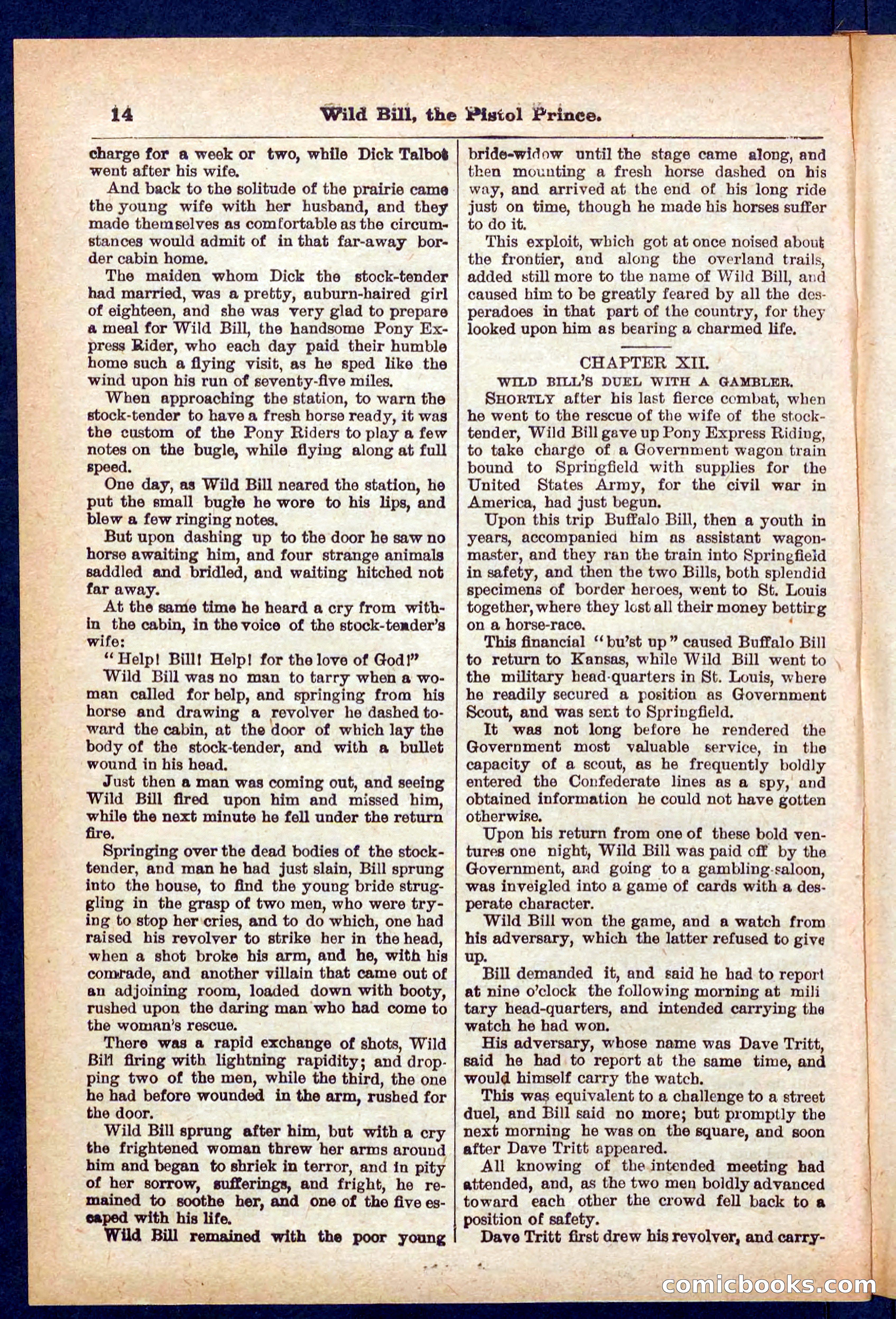 Beadle's Pocket Library No. 383 — page 14 of 32
