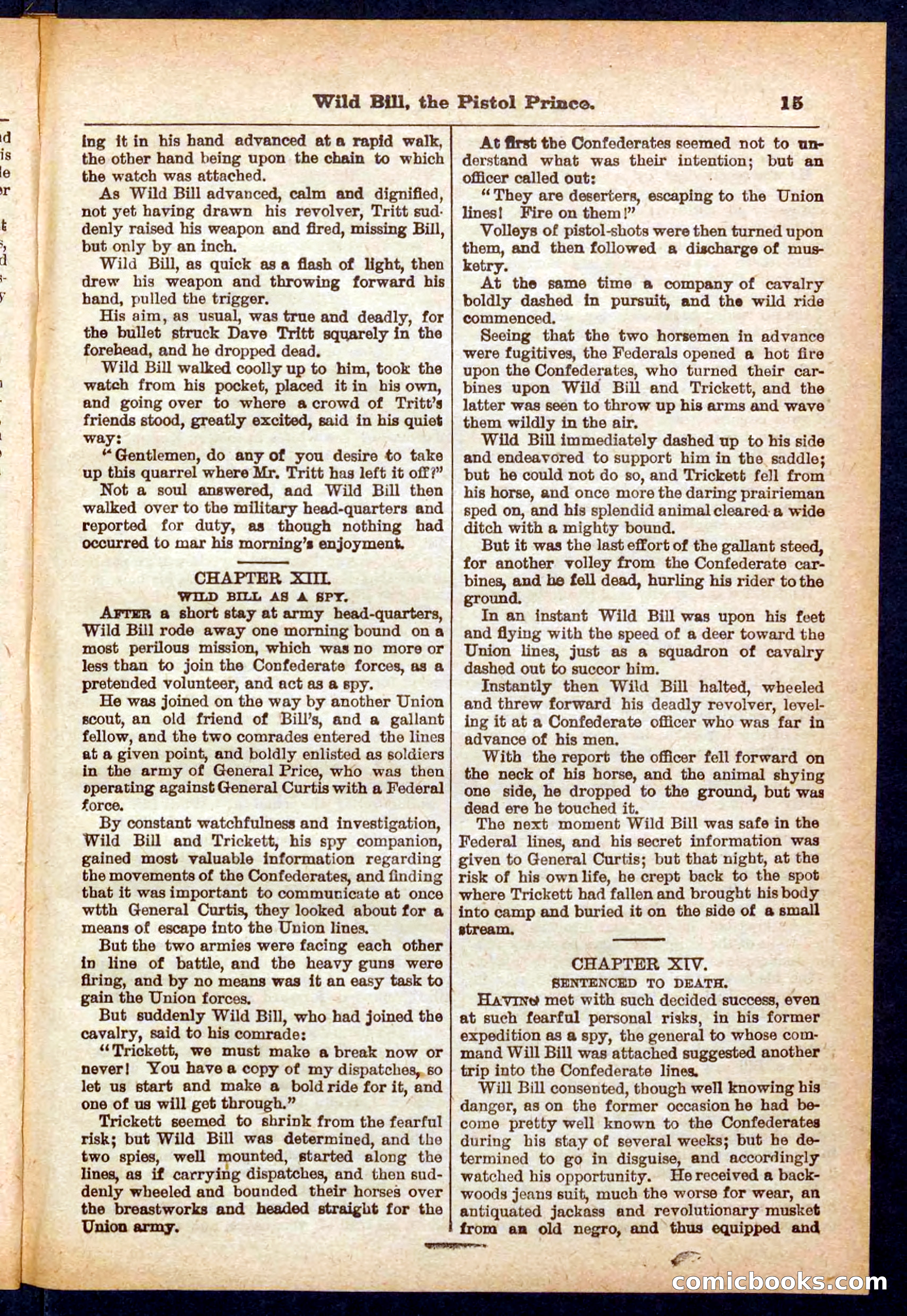Beadle's Pocket Library No. 383 — page 15 of 32