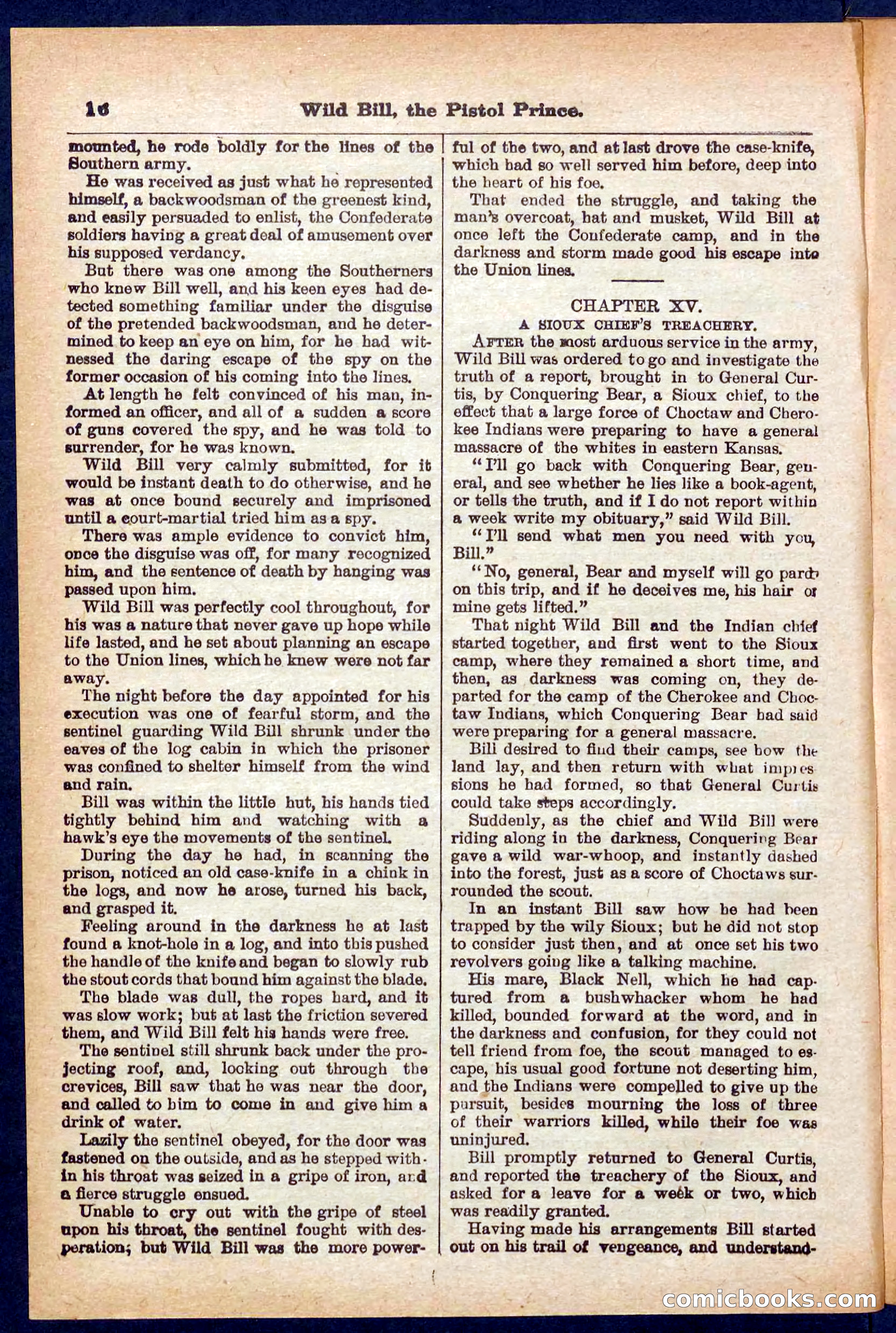 Beadle's Pocket Library No. 383 — page 16 of 32