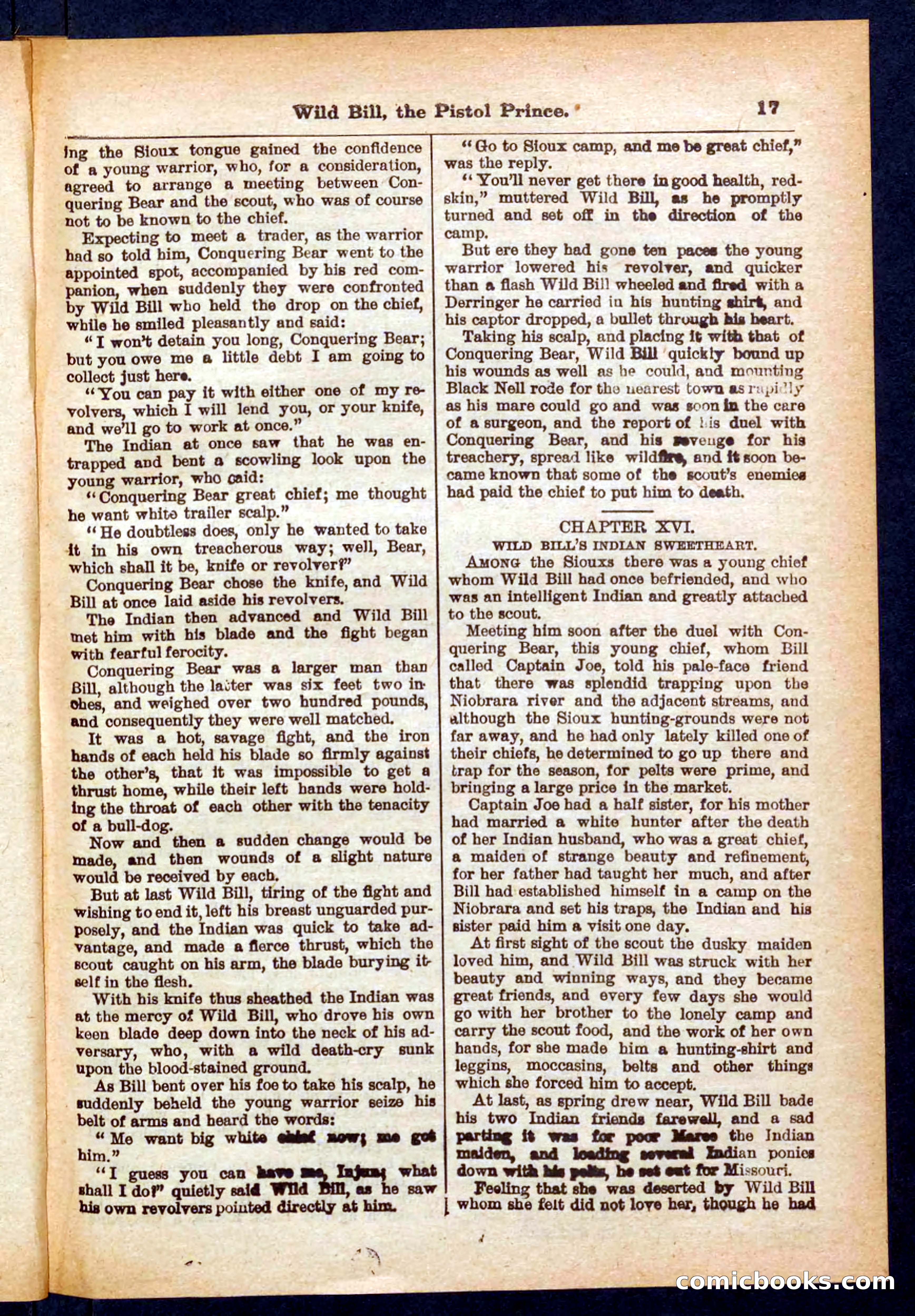 Beadle's Pocket Library No. 383 — page 17 of 32