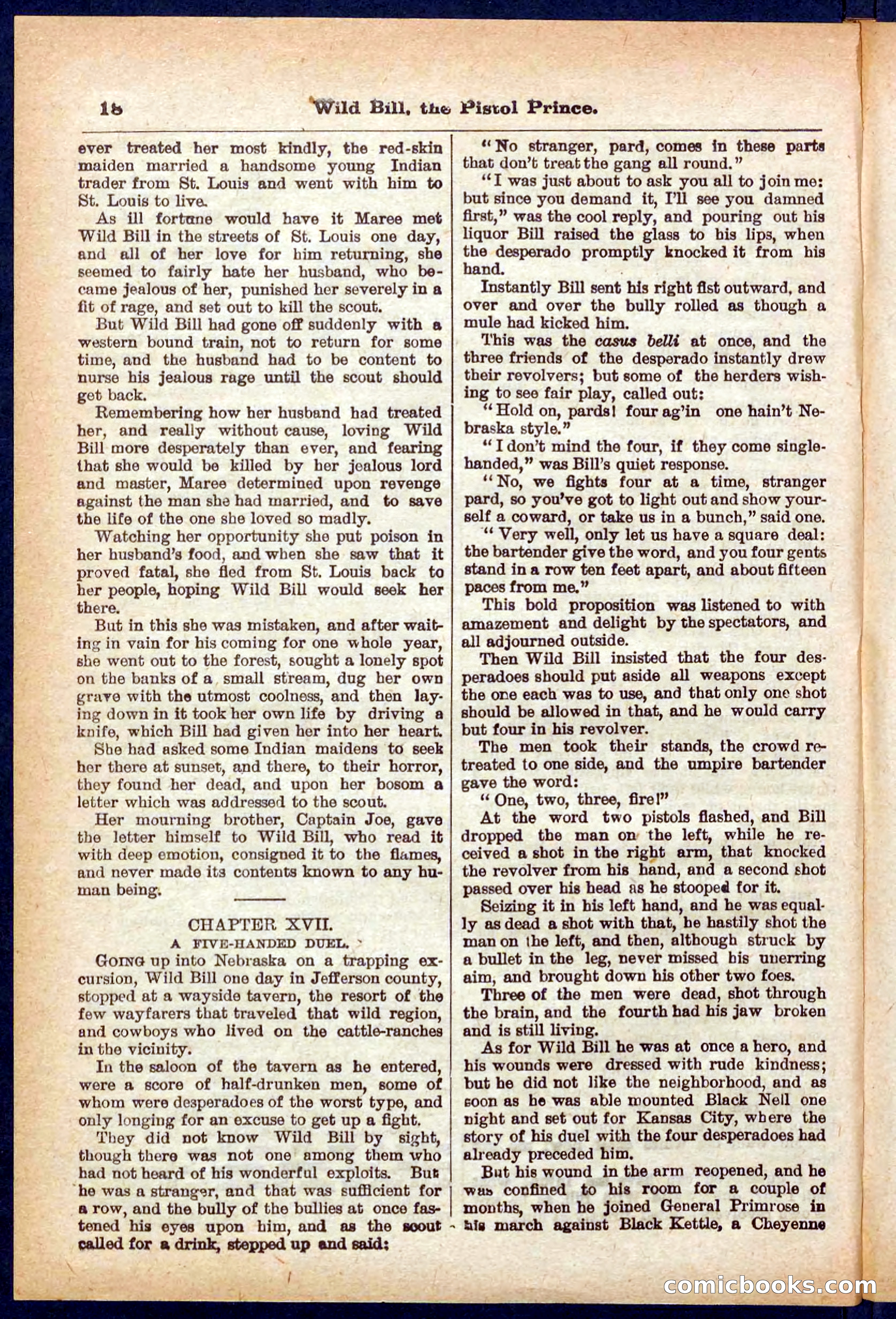 Beadle's Pocket Library No. 383 — page 18 of 32