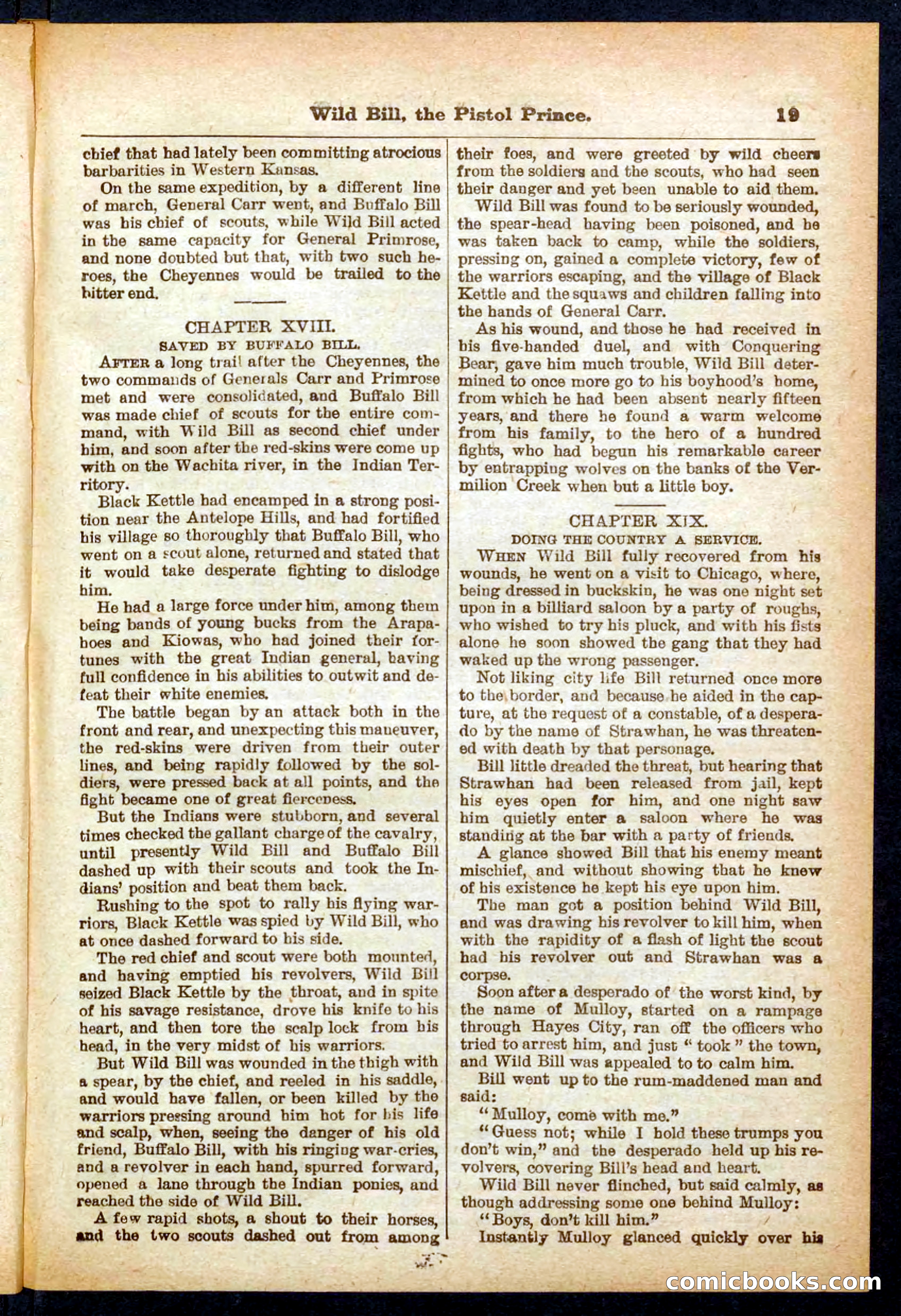 Beadle's Pocket Library No. 383 — page 19 of 32