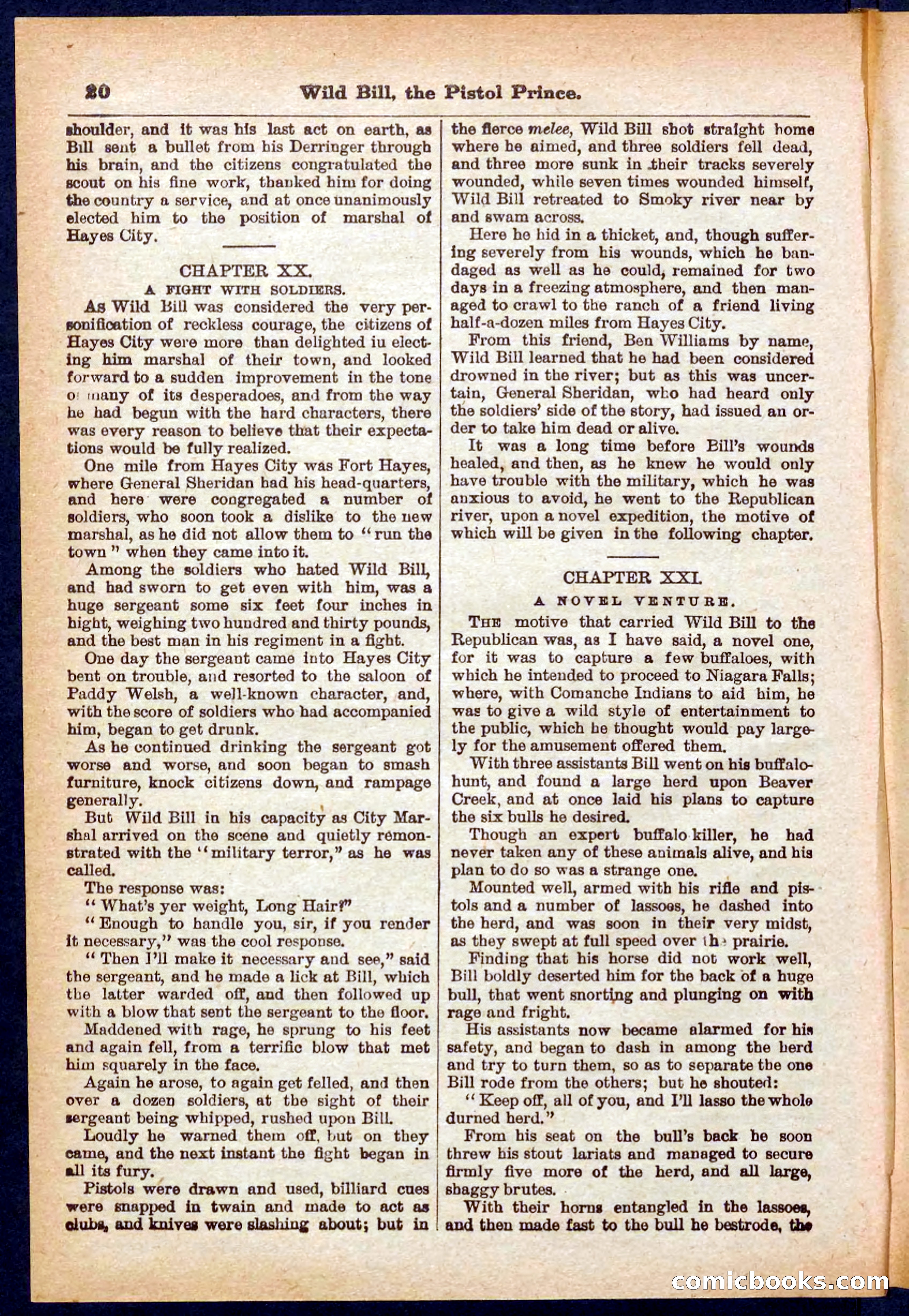 Beadle's Pocket Library No. 383 — page 20 of 32