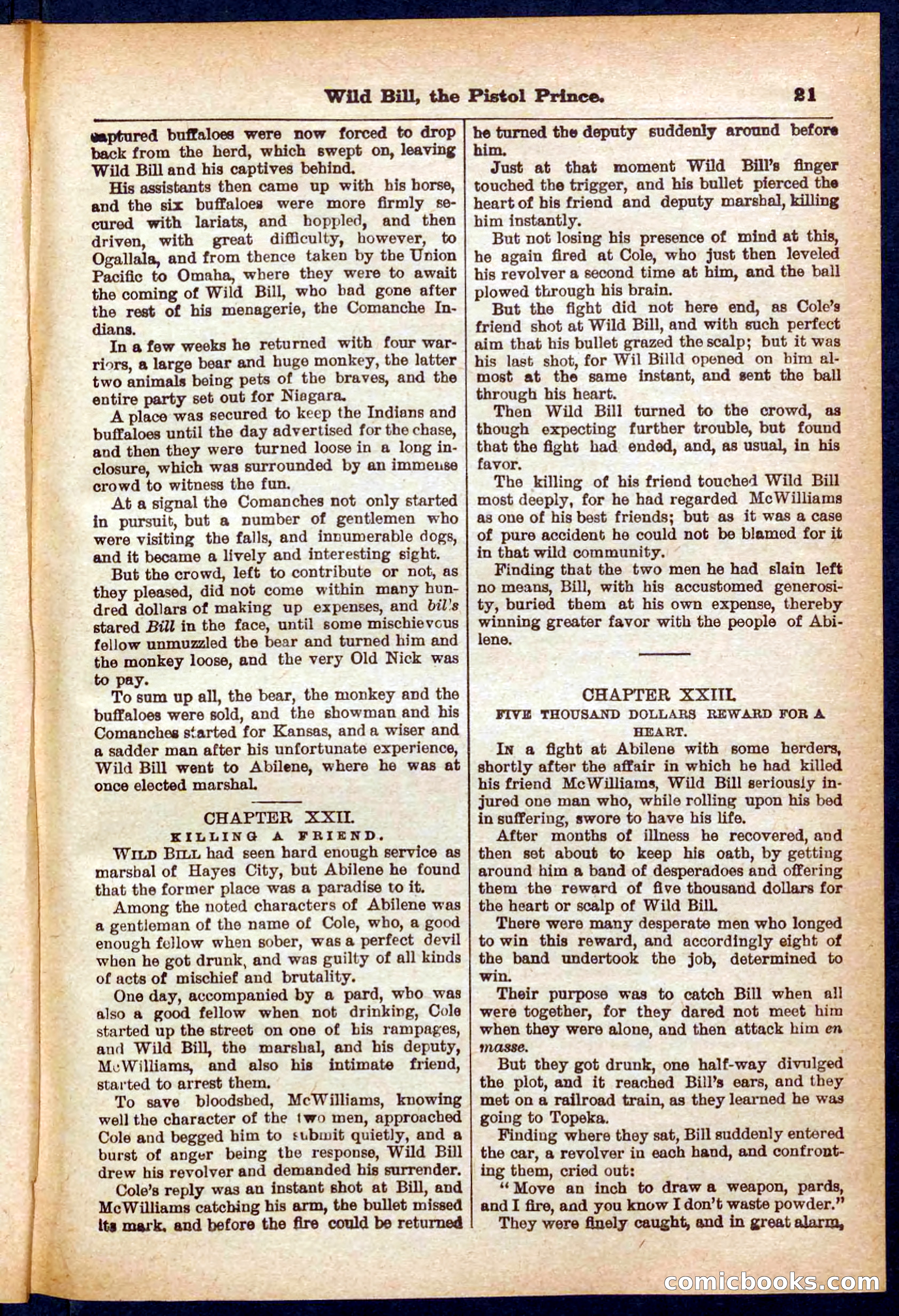 Beadle's Pocket Library No. 383 — page 21 of 32