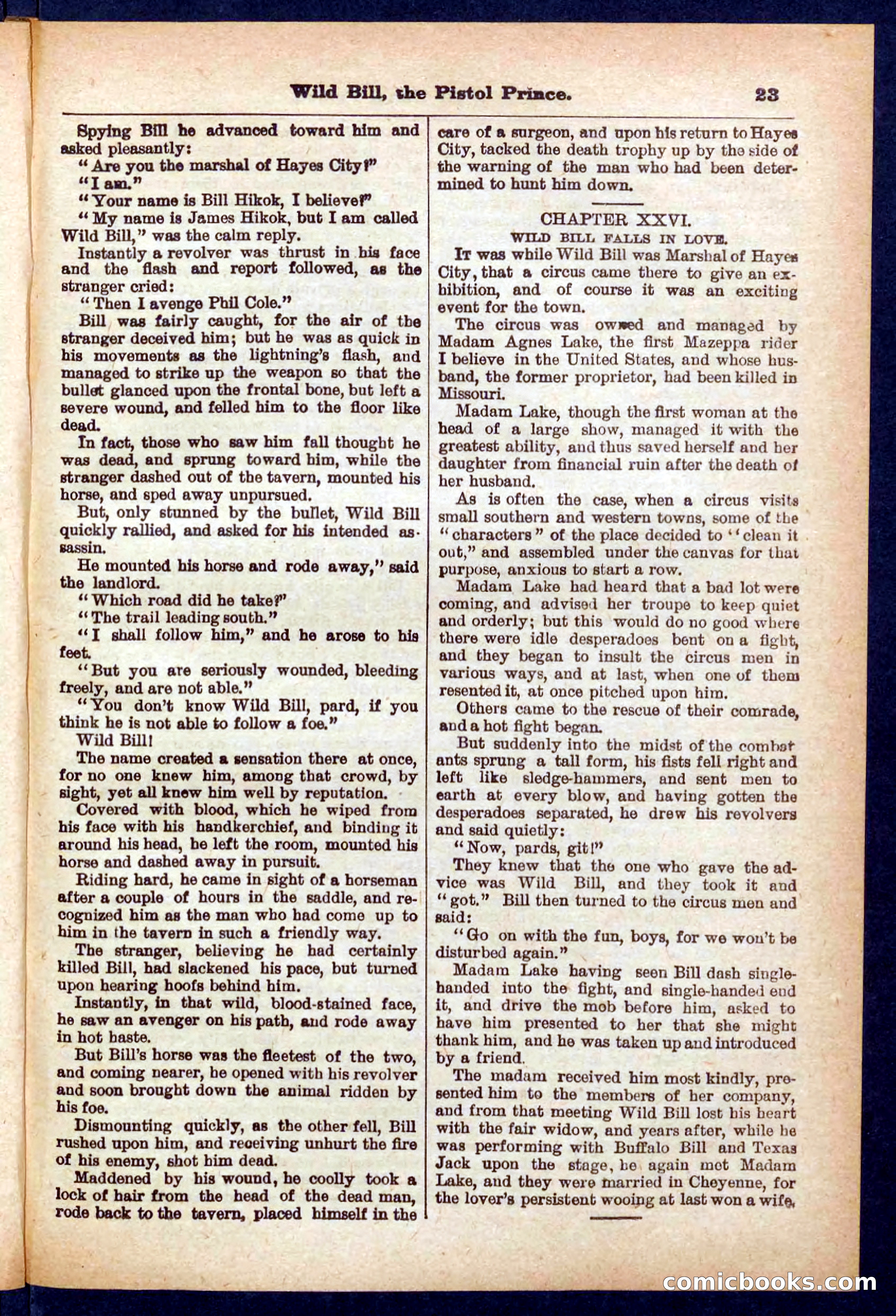 Beadle's Pocket Library No. 383 — page 23 of 32