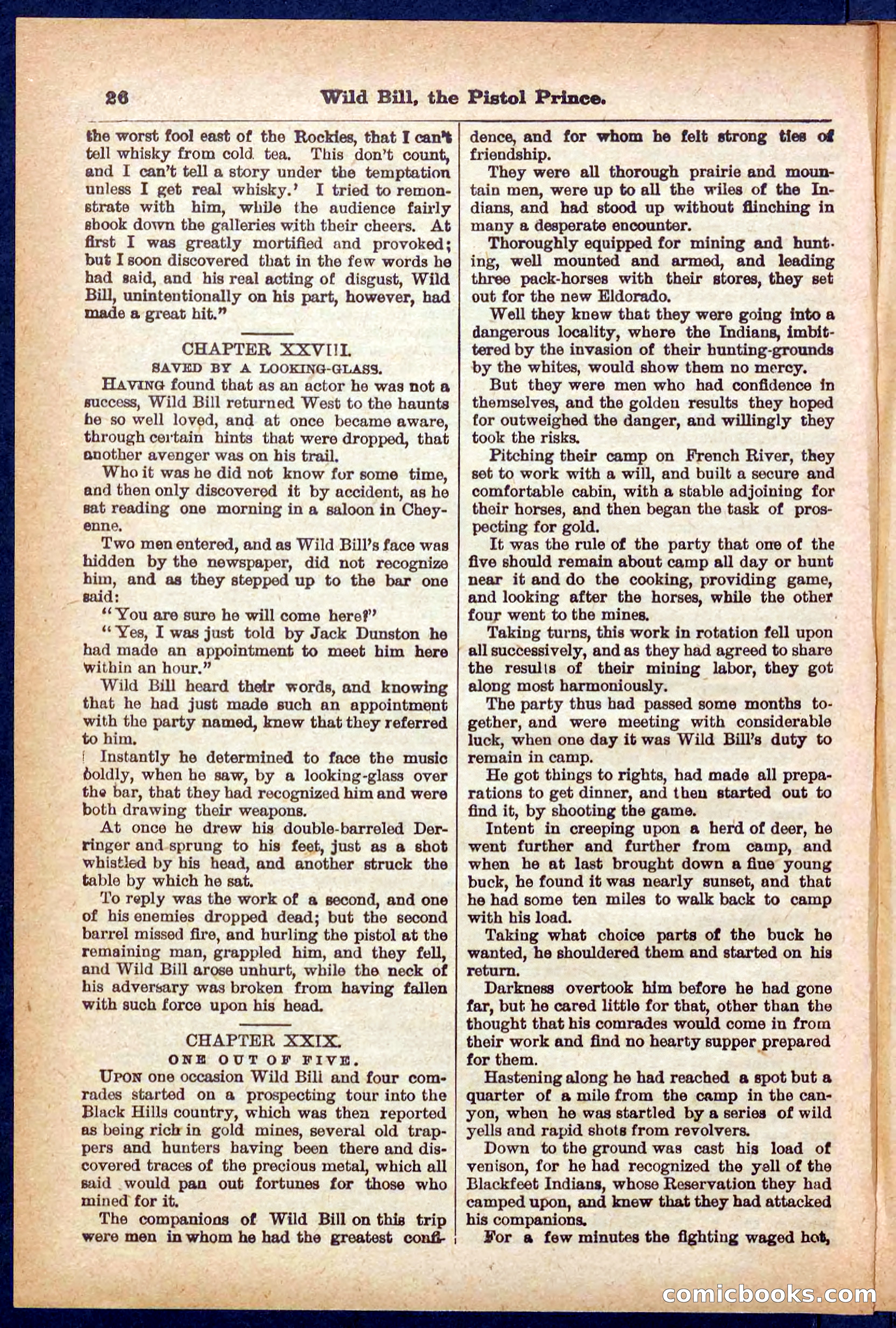 Beadle's Pocket Library No. 383 — page 26 of 32