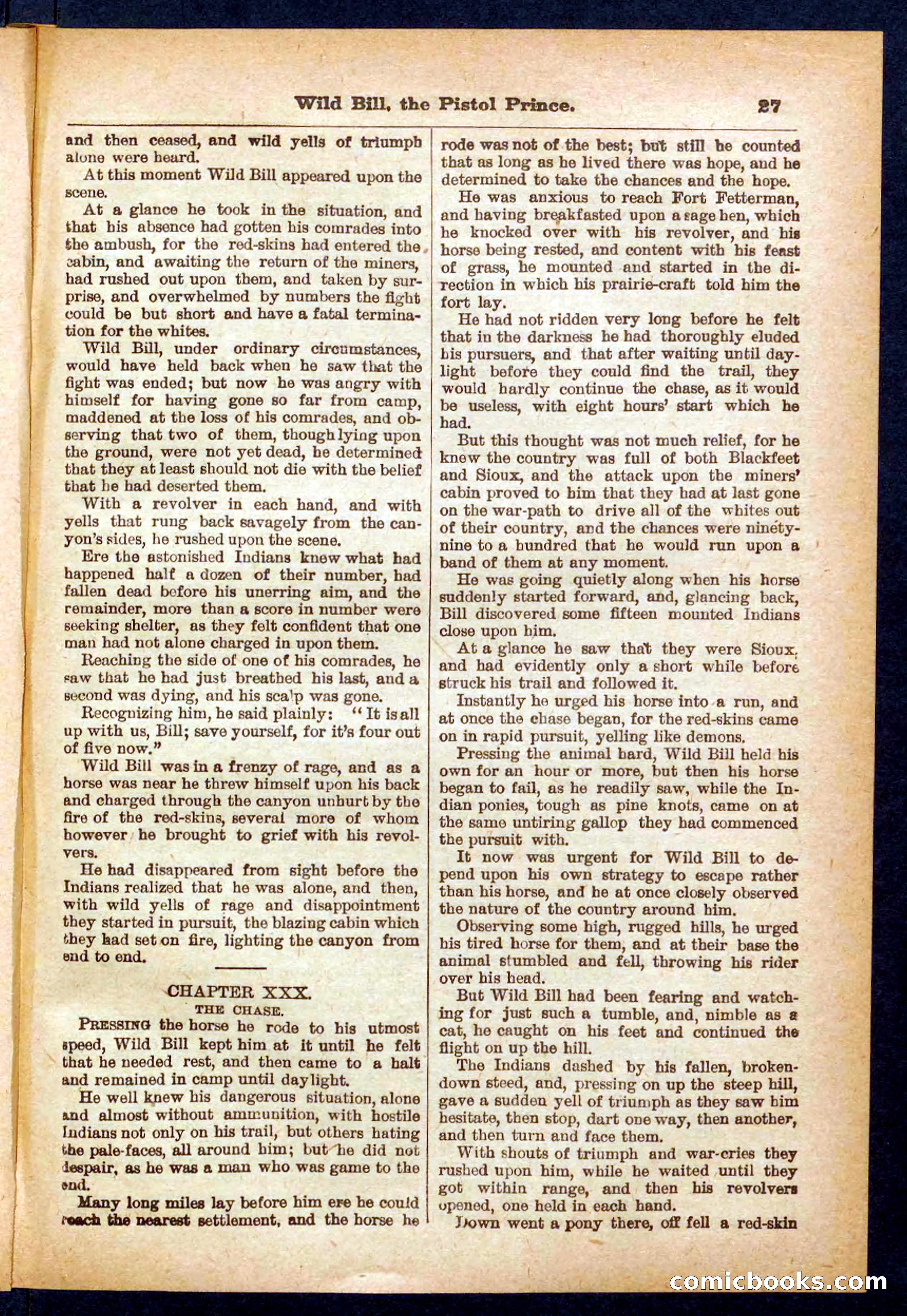 Beadle's Pocket Library No. 383 — page 27 of 32