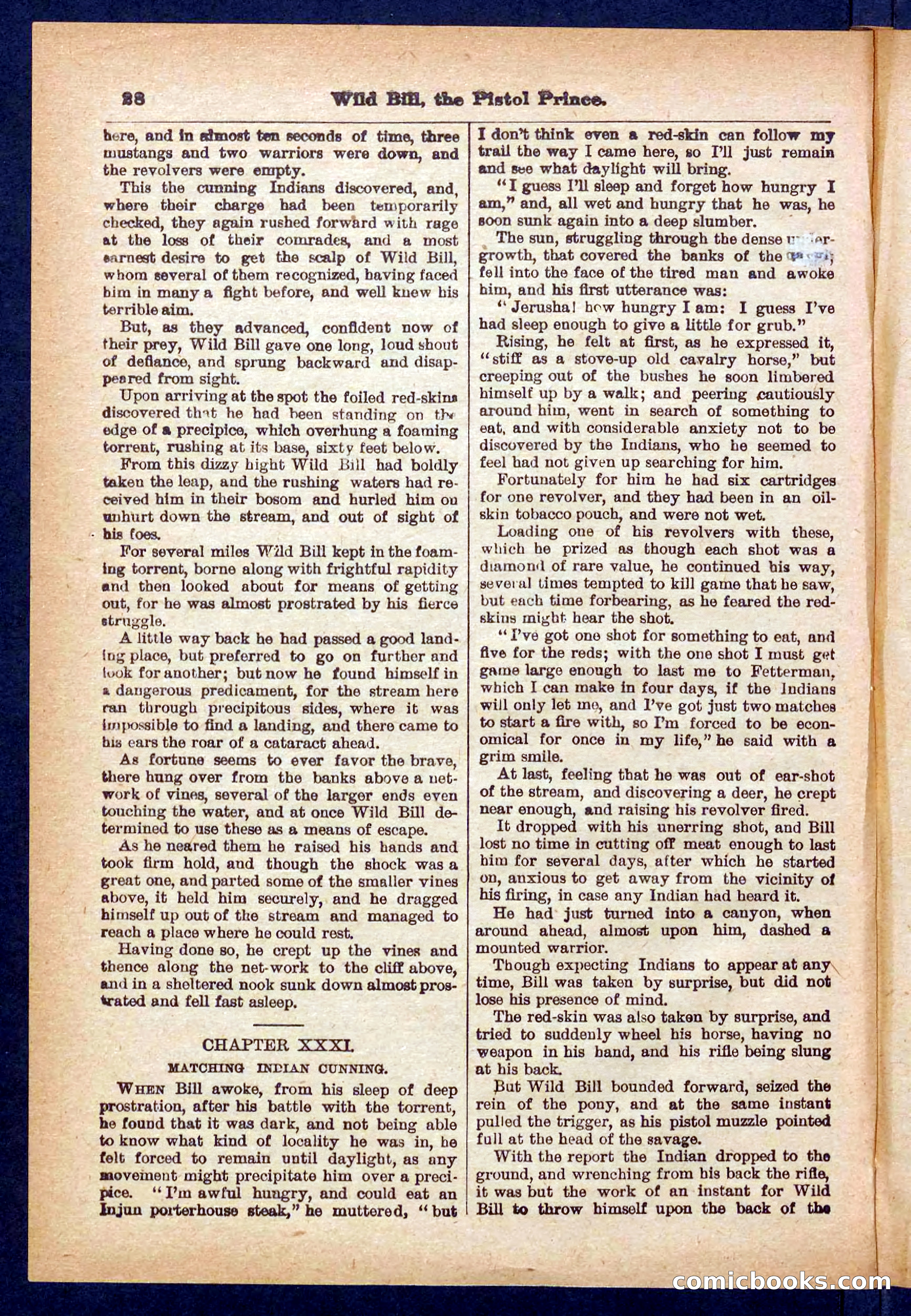 Beadle's Pocket Library No. 383 — page 28 of 32