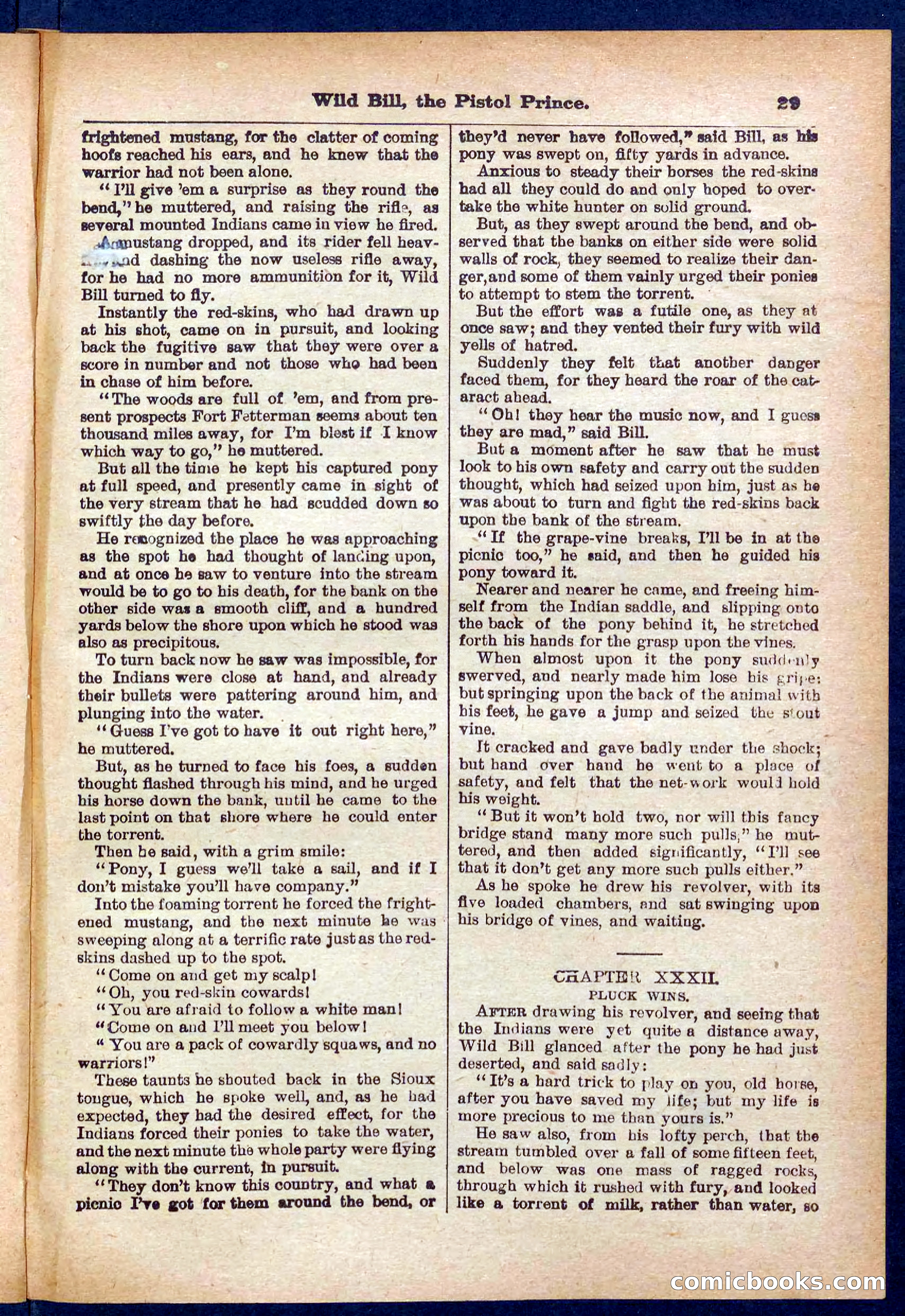 Beadle's Pocket Library No. 383 — page 29 of 32